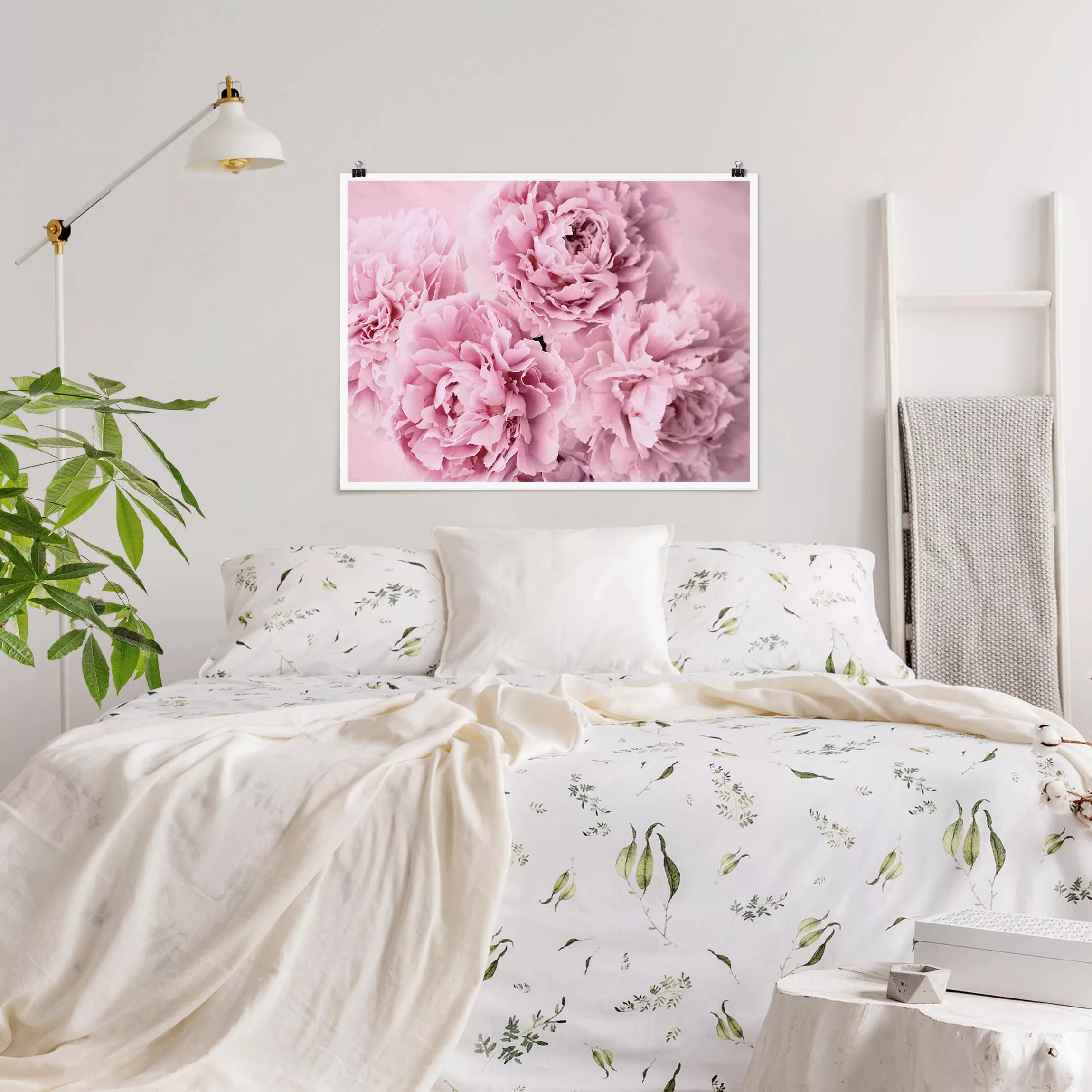 Poster Blumen - Querformat Rosa Pfingstrosen günstig online kaufen
