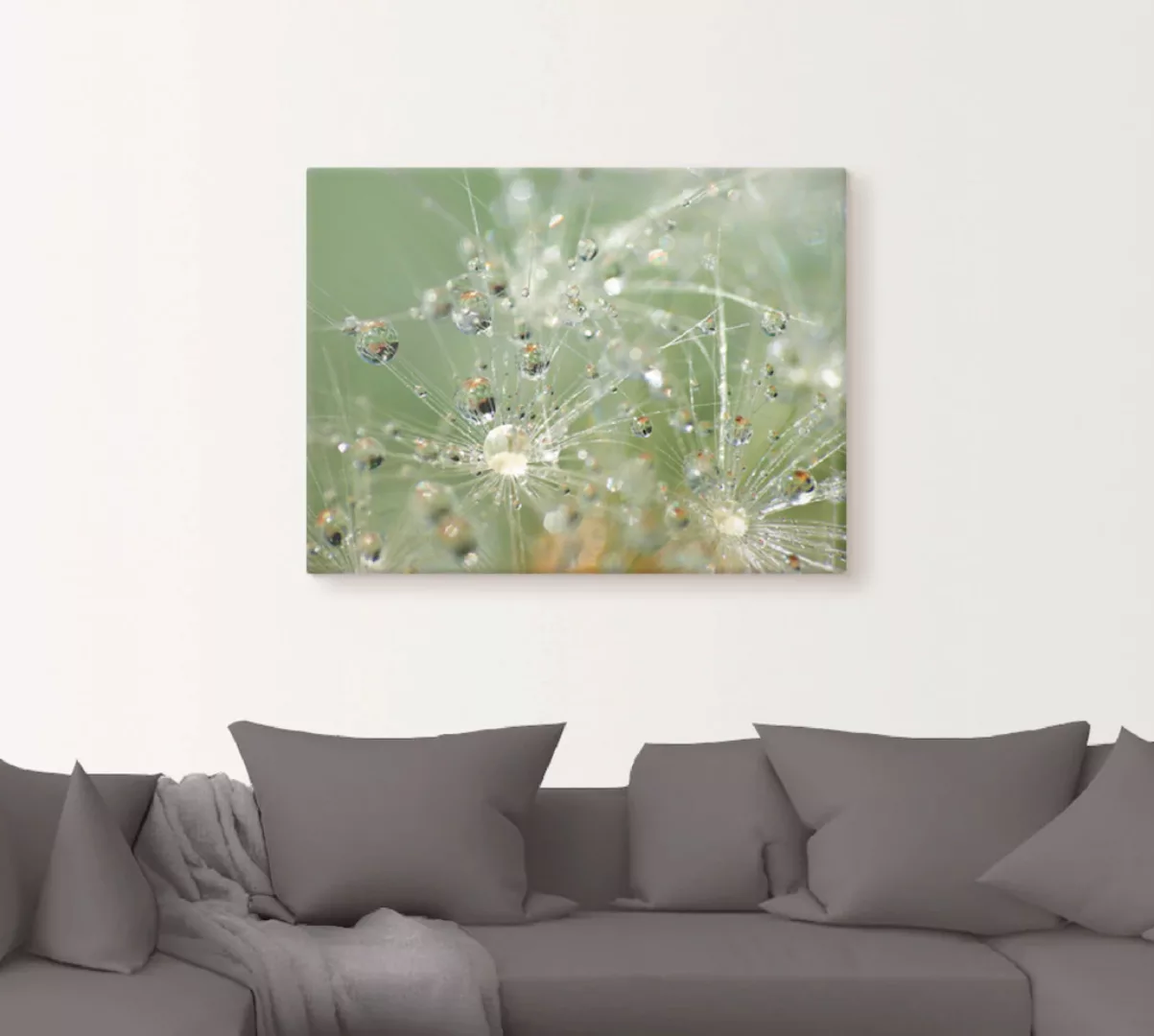 Artland Wandbild »Wassertropfen Pusteblume«, Blumen, (1 St.), als Leinwandb günstig online kaufen