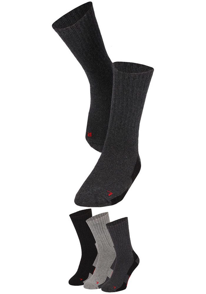Apollo Basicsocken "THERMAL/TRACKING SOCKS", (3er Pack), Unisex mit wärmend günstig online kaufen