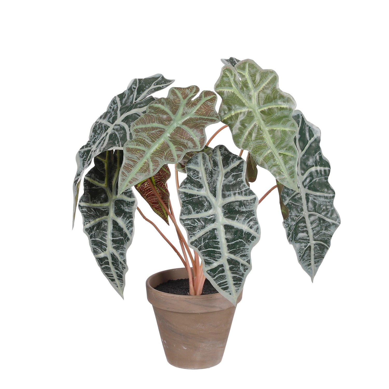 Mica Decorations Kunstpflanze Alocasia im Blumentopf Stan Ø 36 cm x 44 cm G günstig online kaufen