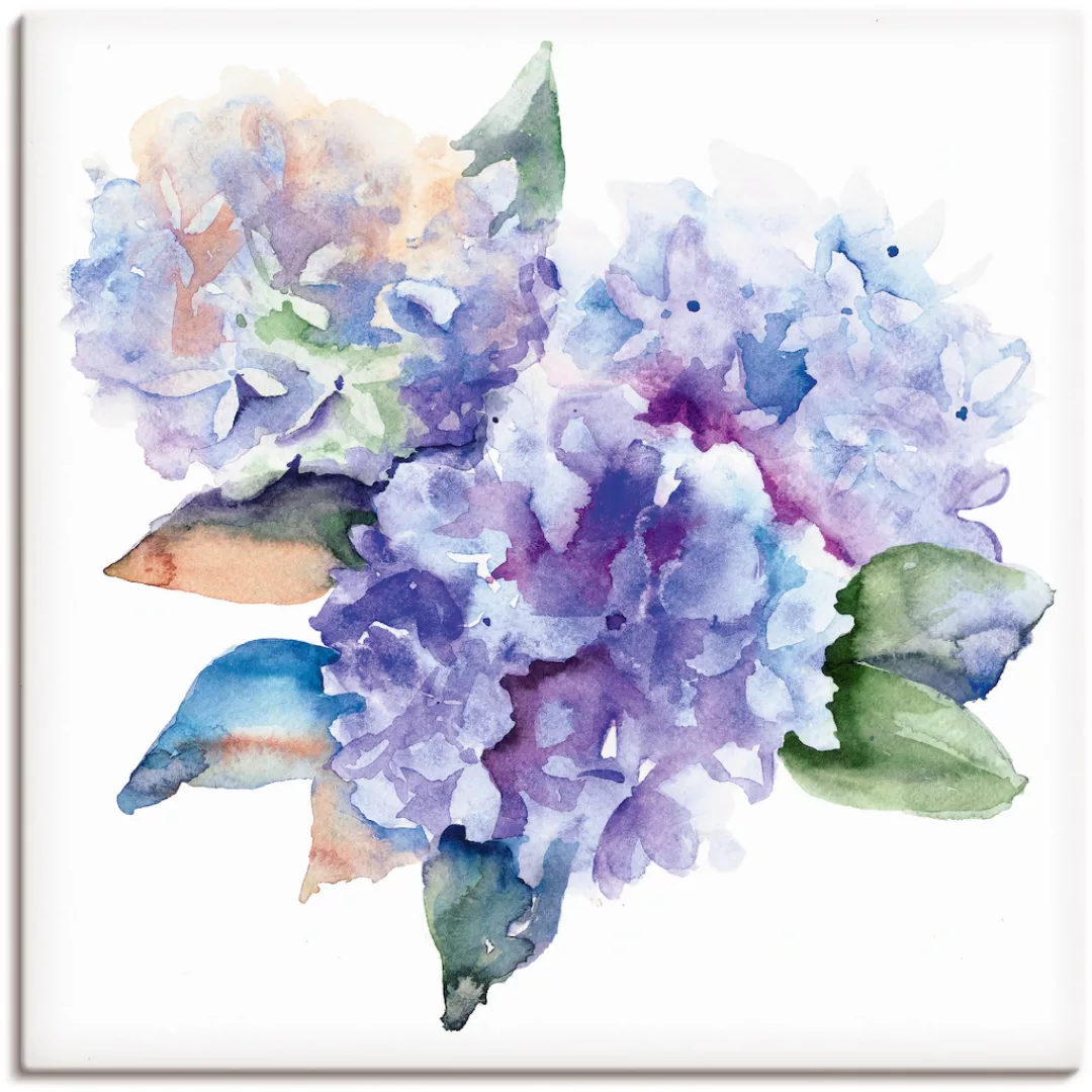 Artland Wandbild »Hortensien«, Blumen, (1 St.), als Leinwandbild, Poster in günstig online kaufen