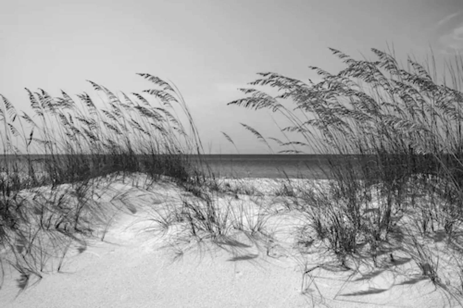 Papermoon Fototapete »Strand Schwarz & Weiß« günstig online kaufen