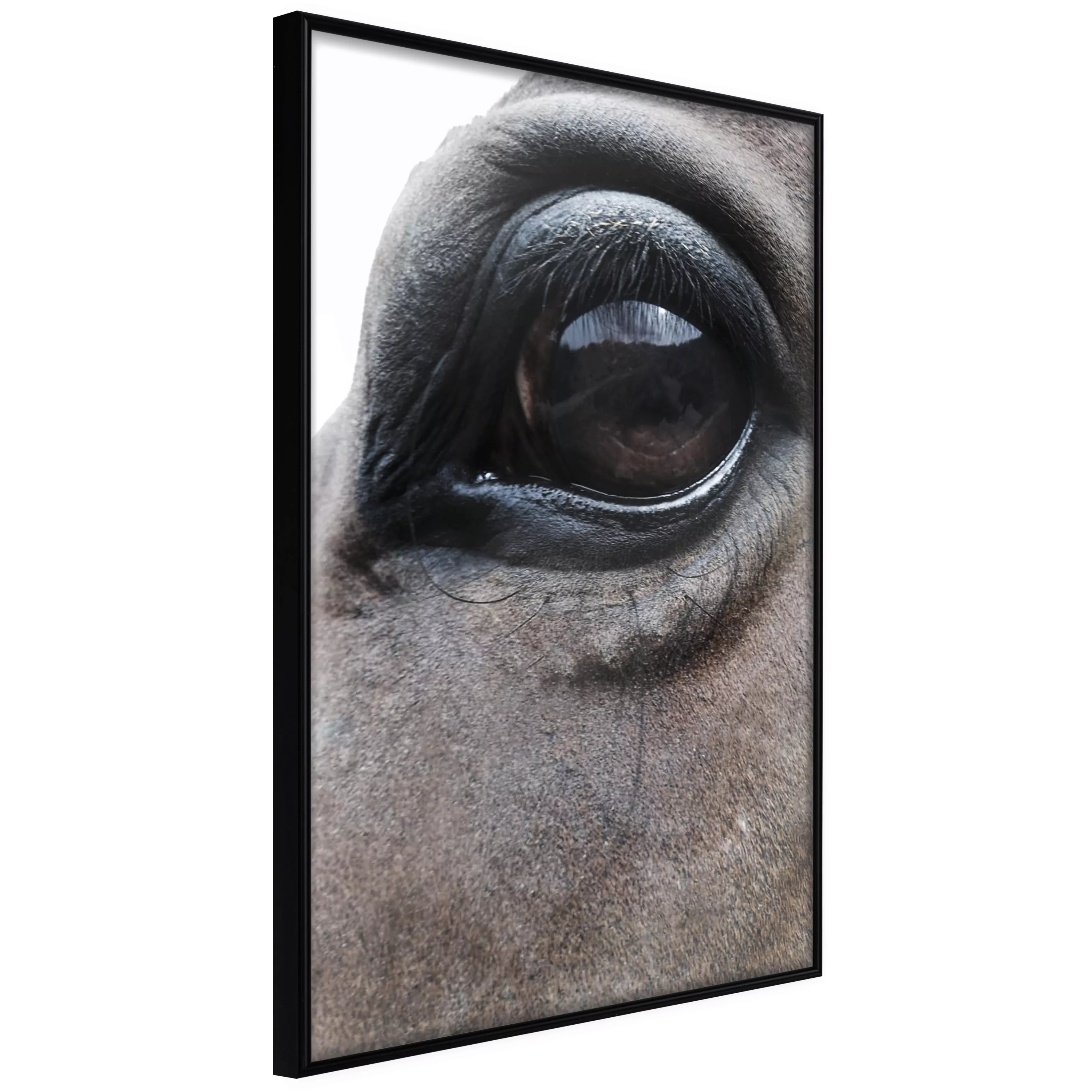 Poster - Gentle Eyes günstig online kaufen