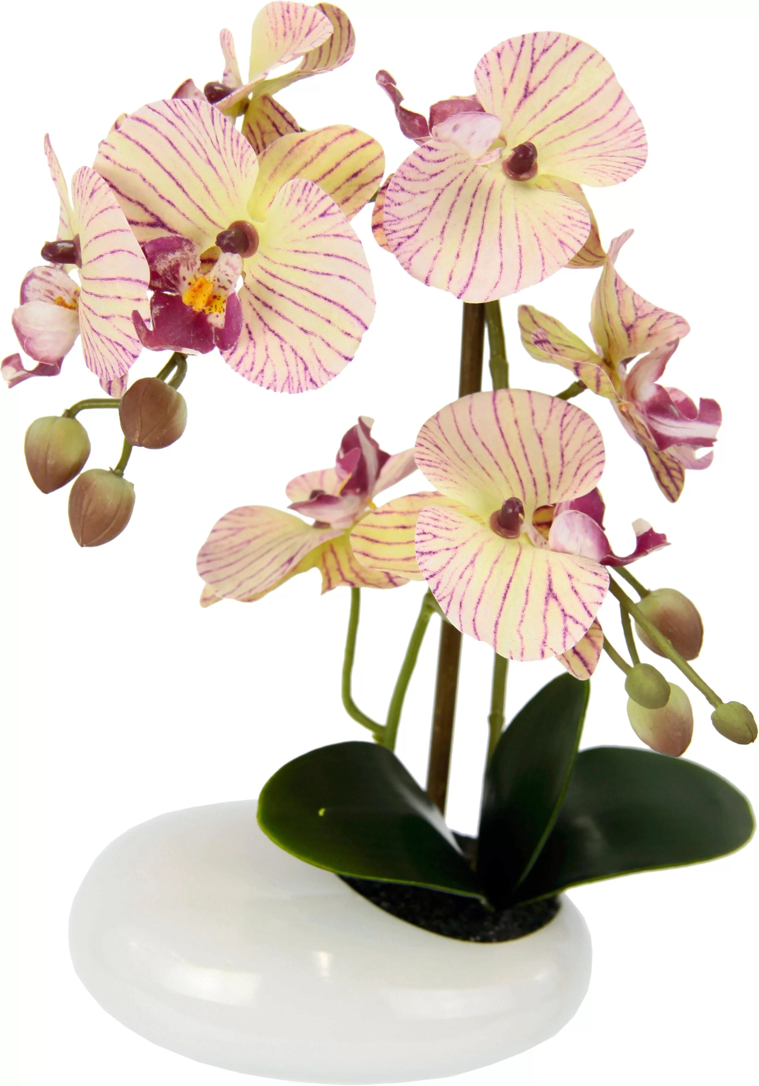 I.GE.A. Kunstpflanze "Phalaenopsis in Schale" günstig online kaufen