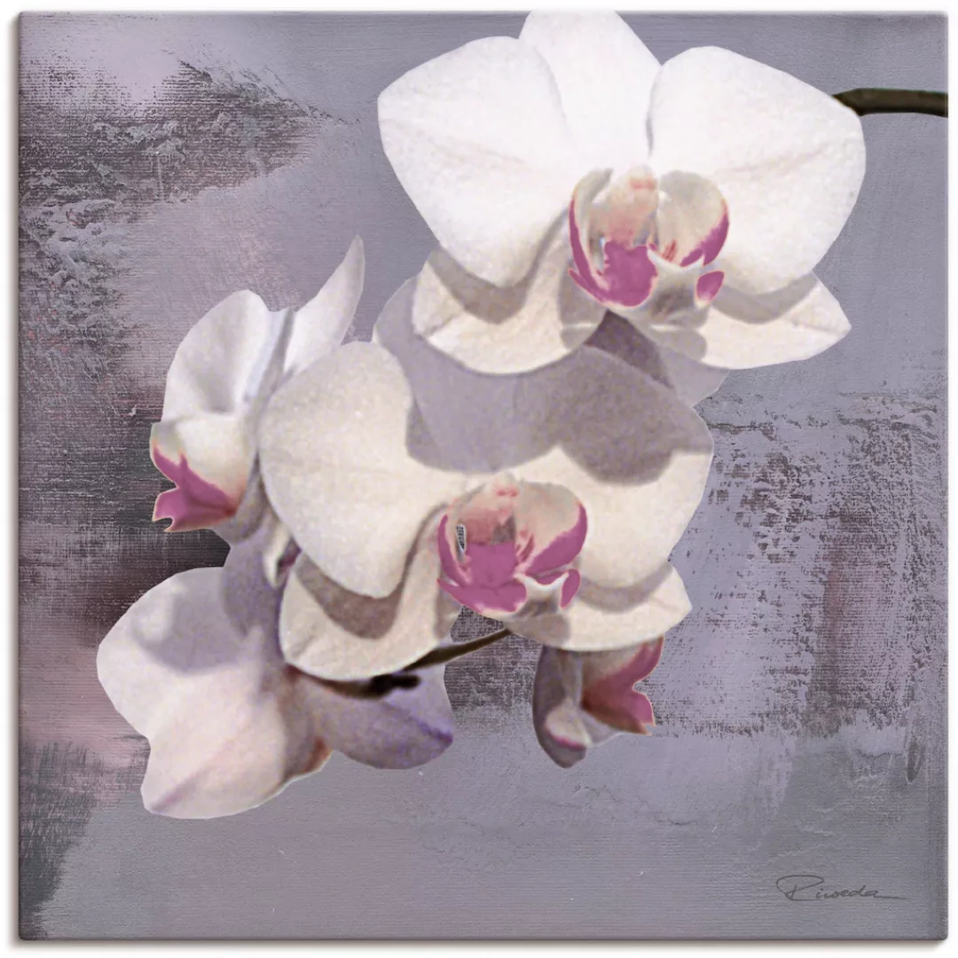 Artland Leinwandbild "Orchideen vor Violett II", Blumen, (1 St.), auf Keilr günstig online kaufen