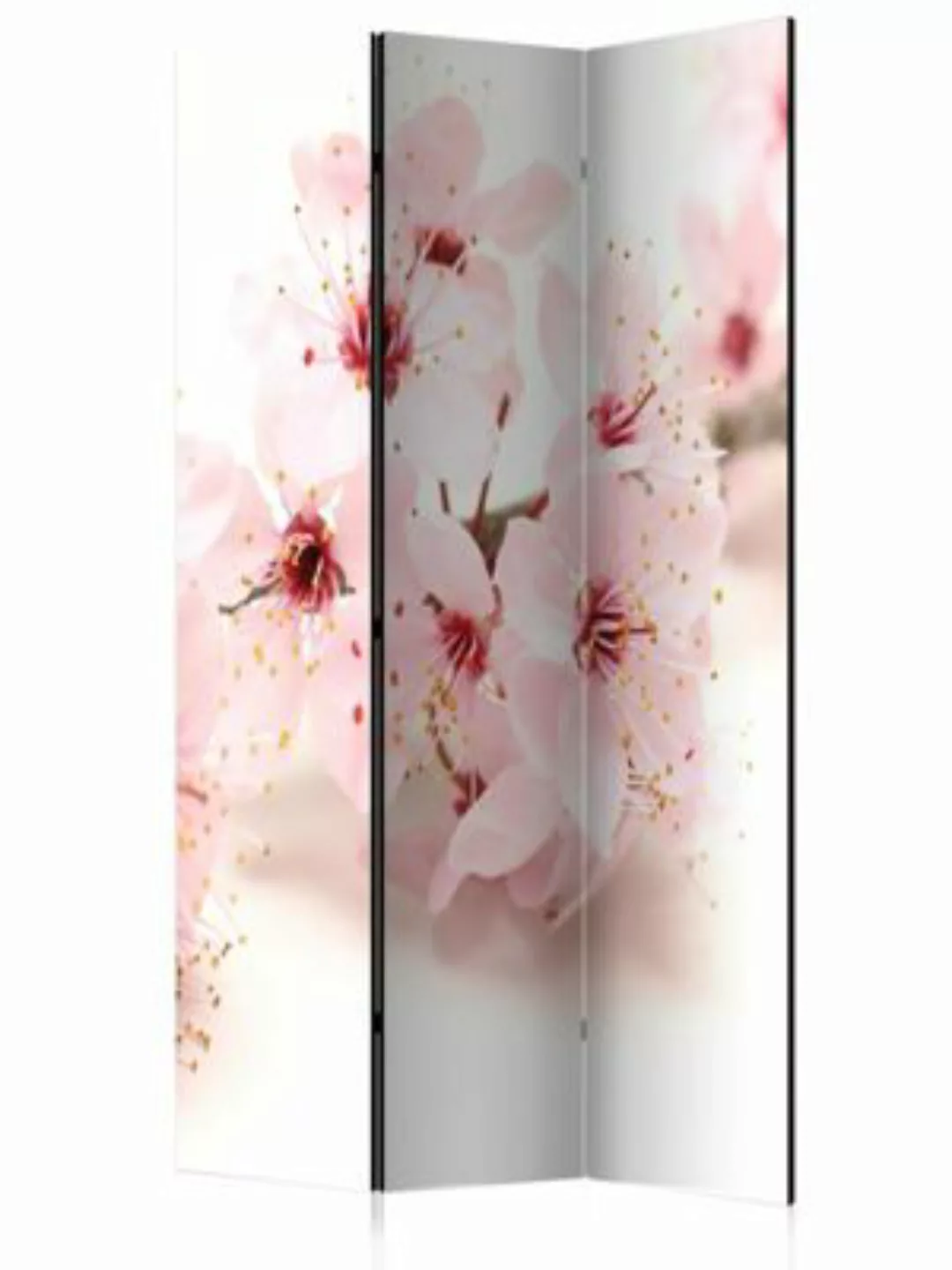 artgeist Paravent Cherry Blossom [Room Dividers] creme/rosa Gr. 135 x 172 günstig online kaufen