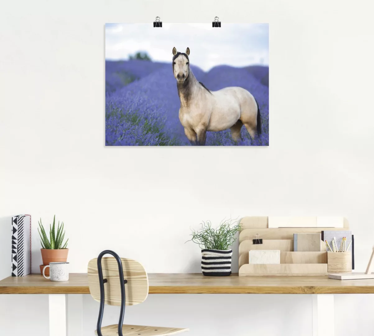 Artland Wandbild "Pferd und Blumen III", Haustiere, (1 St.) günstig online kaufen