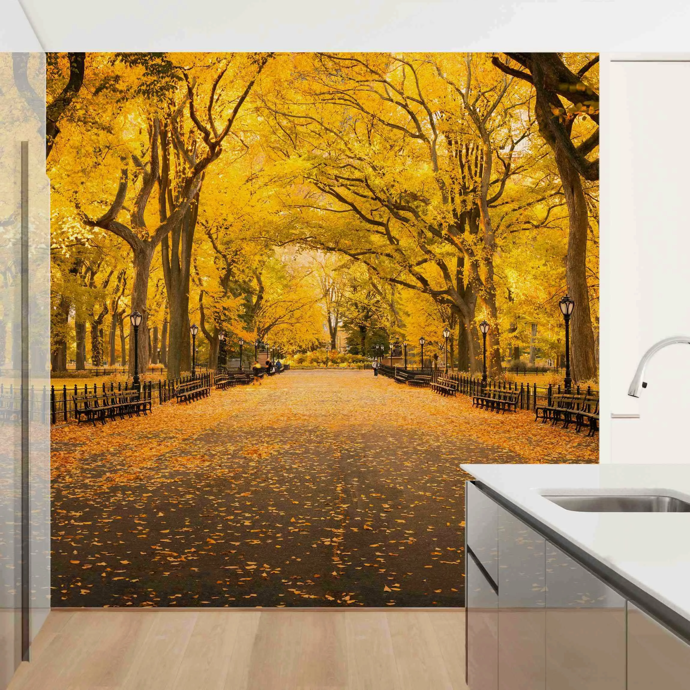 Fototapete Herbst im Central Park günstig online kaufen