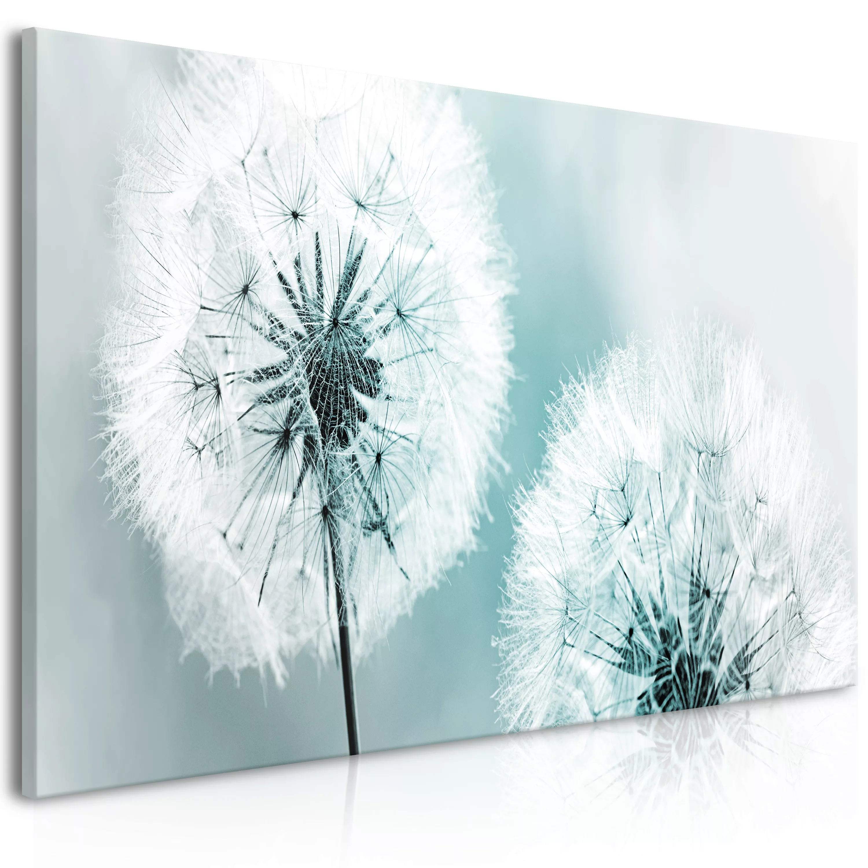 Wandbild - Fluffy Dandelions (1 Part) Blue Wide günstig online kaufen