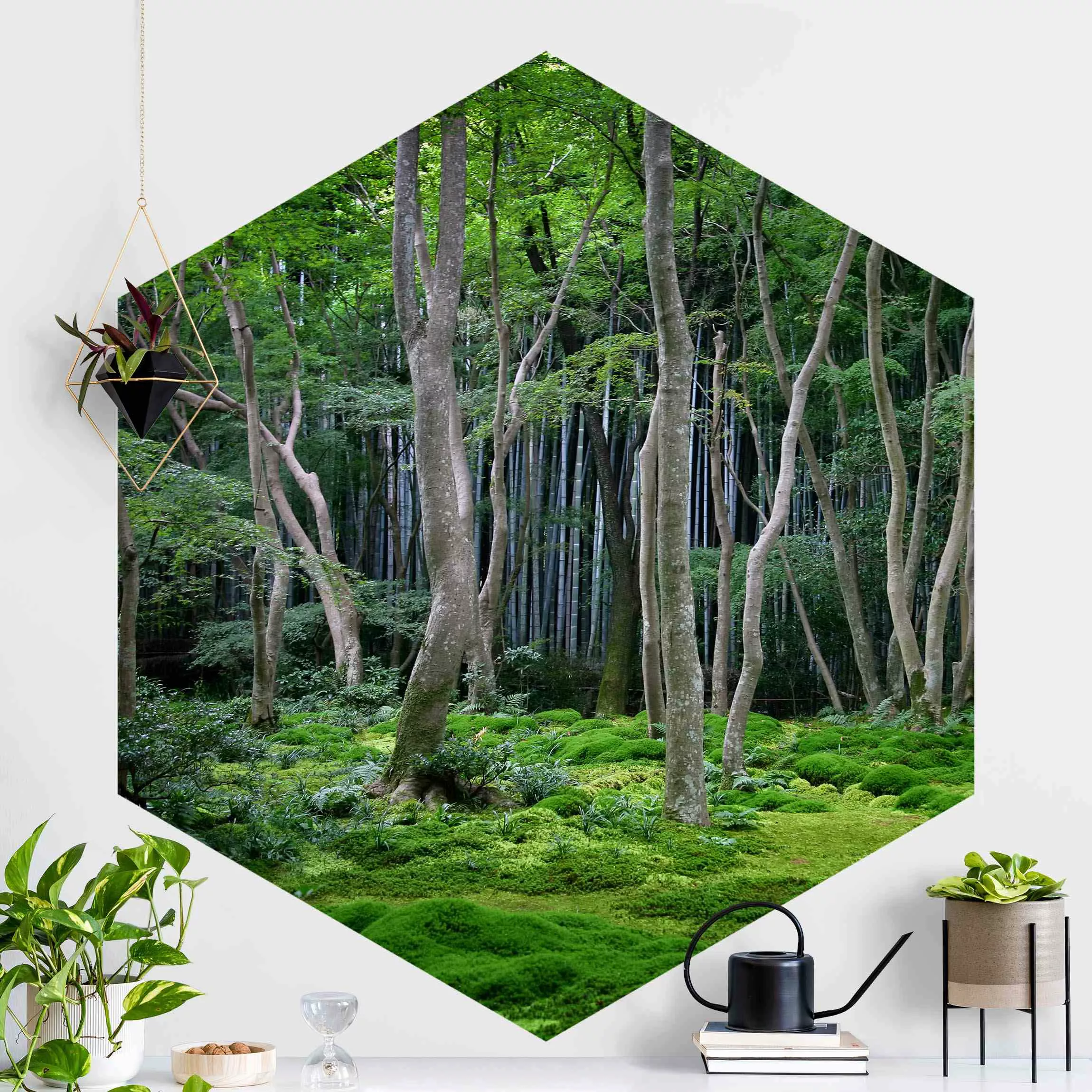 Hexagon Fototapete selbstklebend Japanischer Wald günstig online kaufen