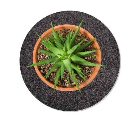 Flora Unterlage für Blumentöpfe Ø 25 cm Dunkelgrau günstig online kaufen