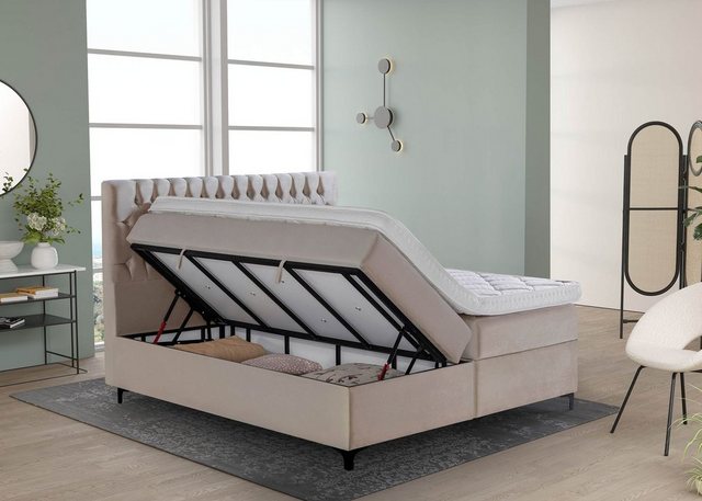 BettCo Stauraumbett Boxspringbett mit Bettkasten Vegas (in Samt Rose, 200 x günstig online kaufen