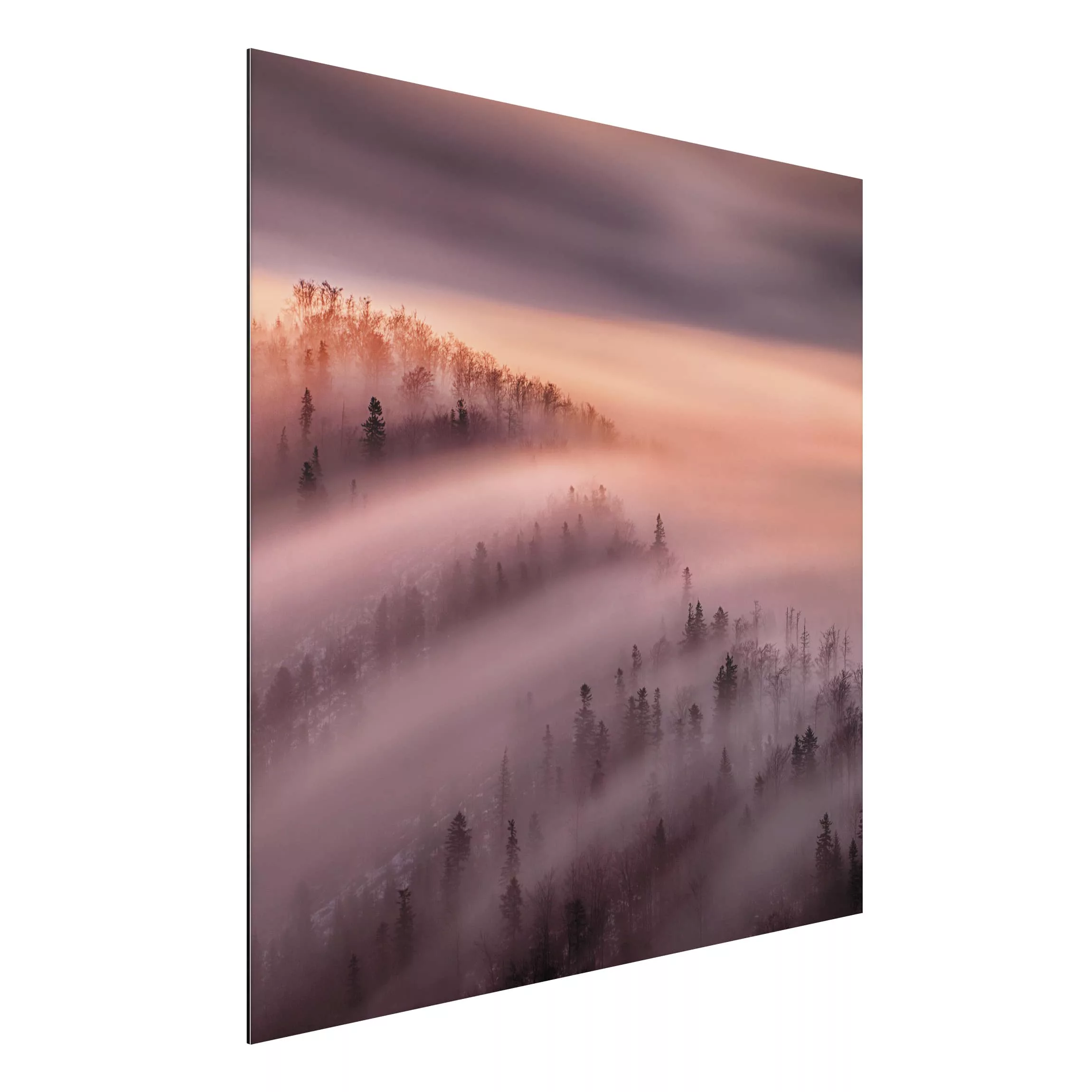 Alu-Dibond Bild Natur & Landschaft - Quadrat Nebelflut günstig online kaufen