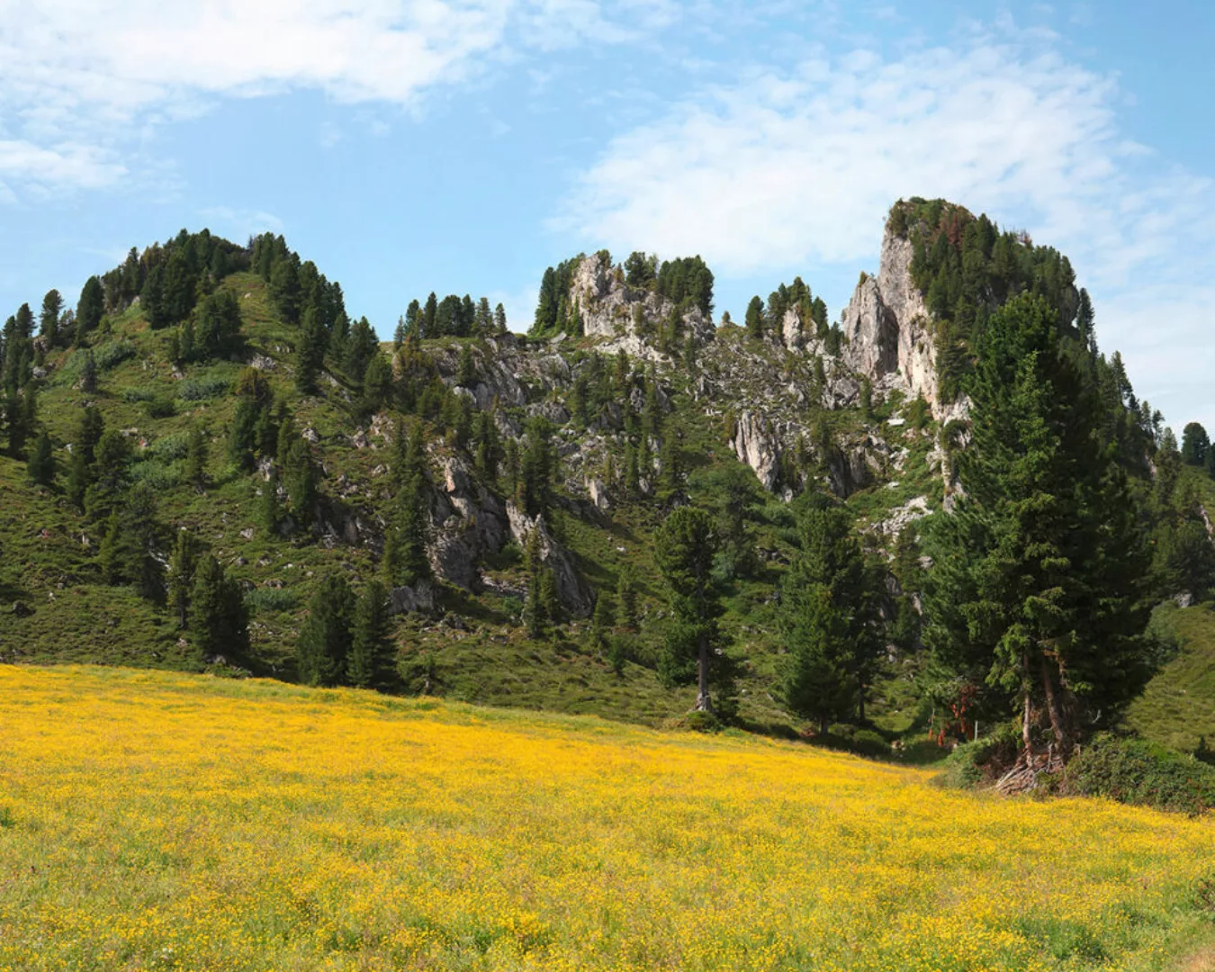 Fototapete "Alpenwiese" 4,00x2,50 m / Strukturvlies Klassik günstig online kaufen