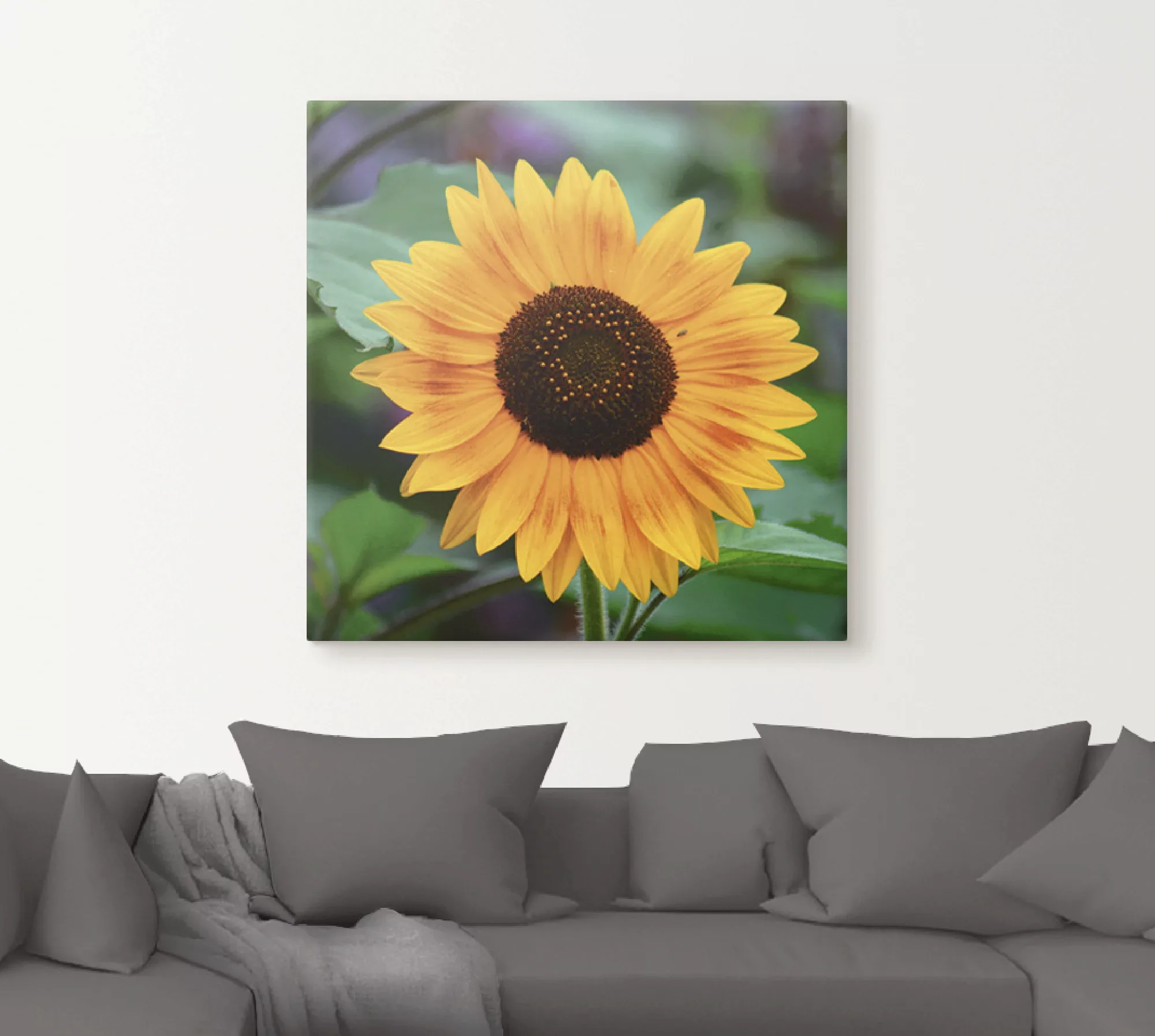 Artland Leinwandbild "Sonnenblume", Blumen, (1 St.), auf Keilrahmen gespann günstig online kaufen