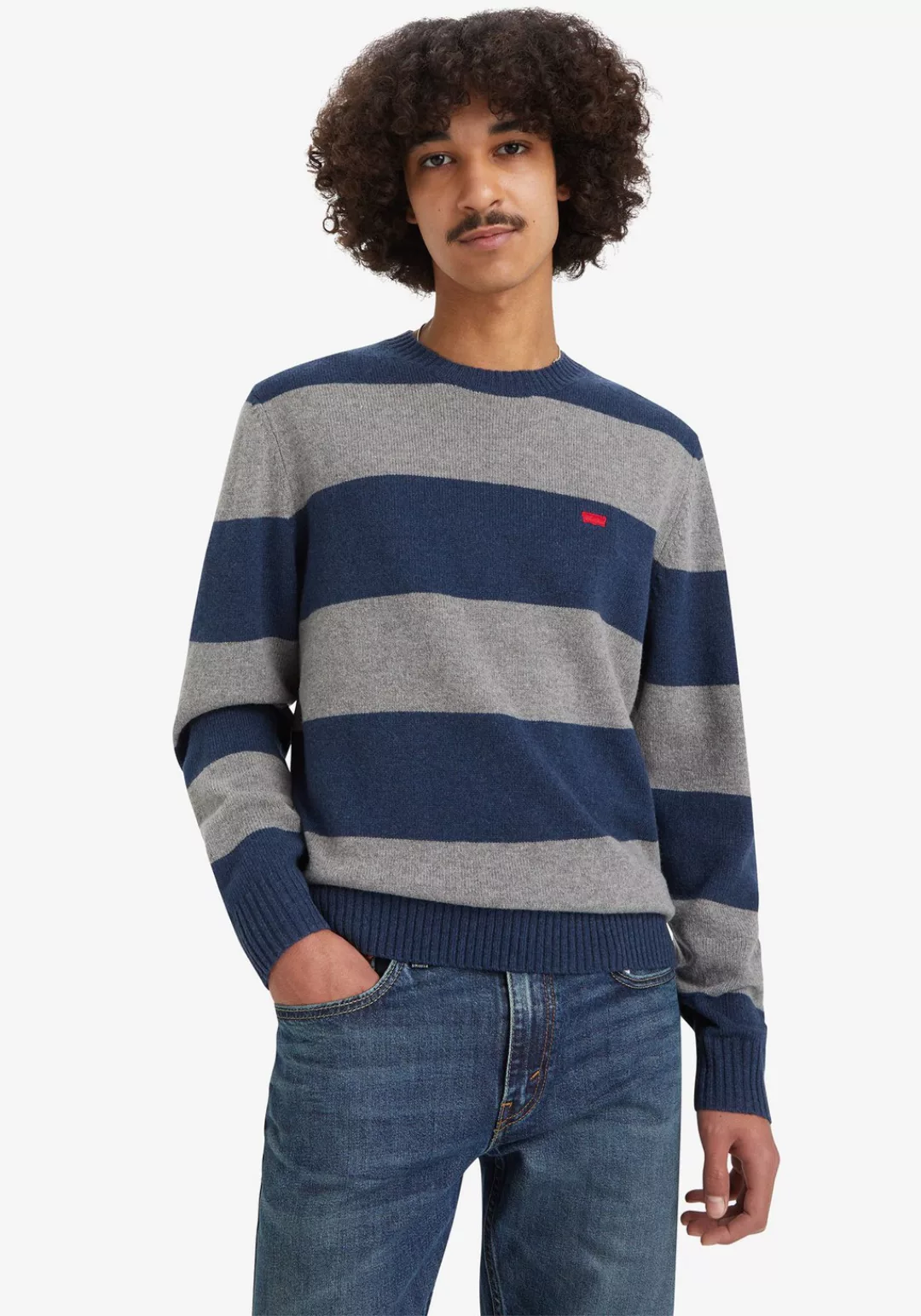 Levi's® Strickpullover ORIGINAL HM SWEATER mit Streifenmuster günstig online kaufen