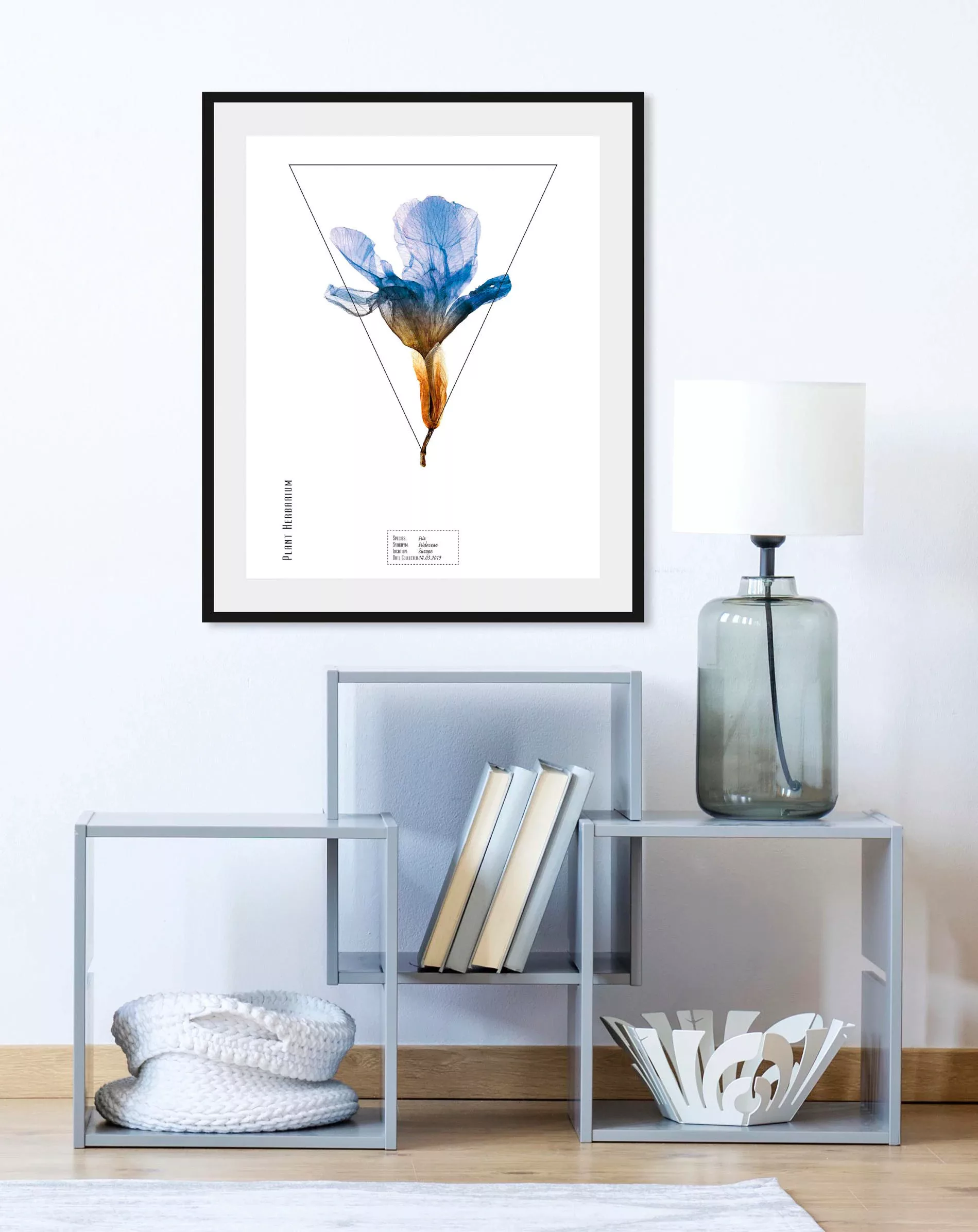 queence Bild "Iris", (1 St.) günstig online kaufen
