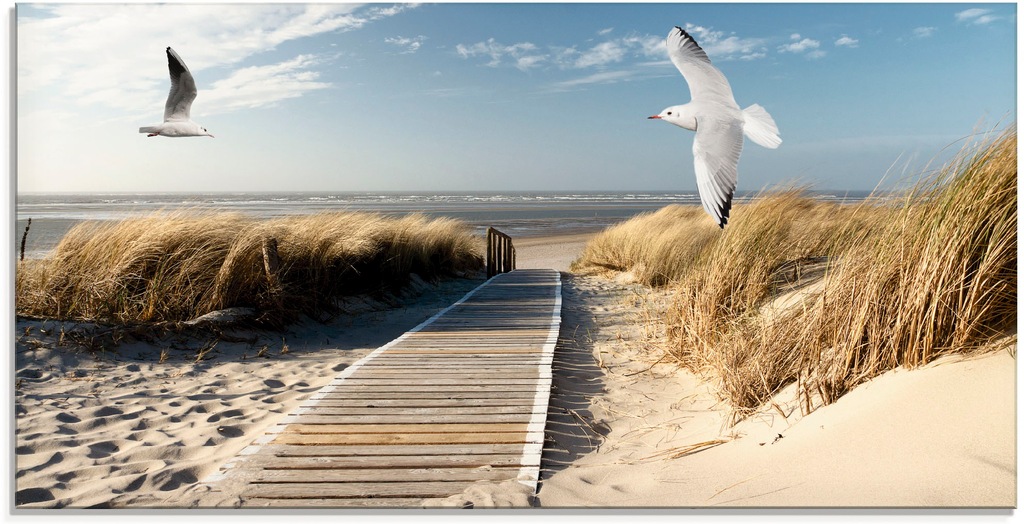 Artland Glasbild "Nordseestrand auf Langeoog mit Möwen", Strand, (1 St.), i günstig online kaufen