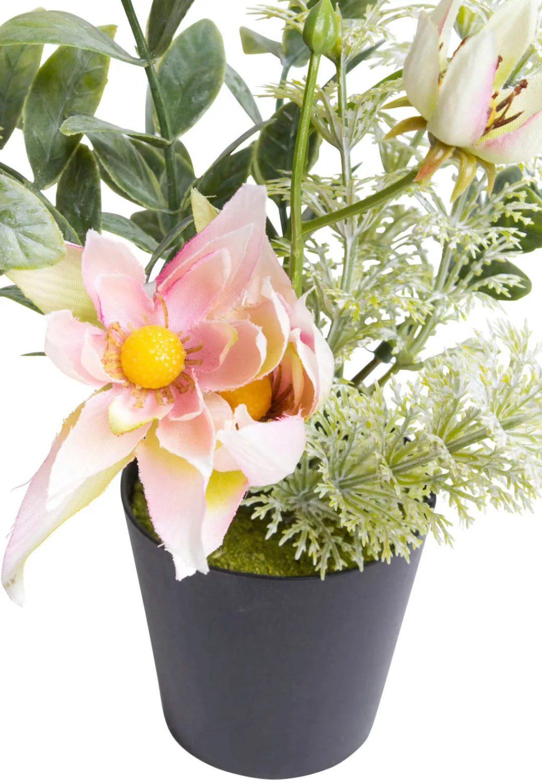 Botanic-Haus Künstliche Zimmerpflanze "Christrosen-Arrangement im schwarzen günstig online kaufen