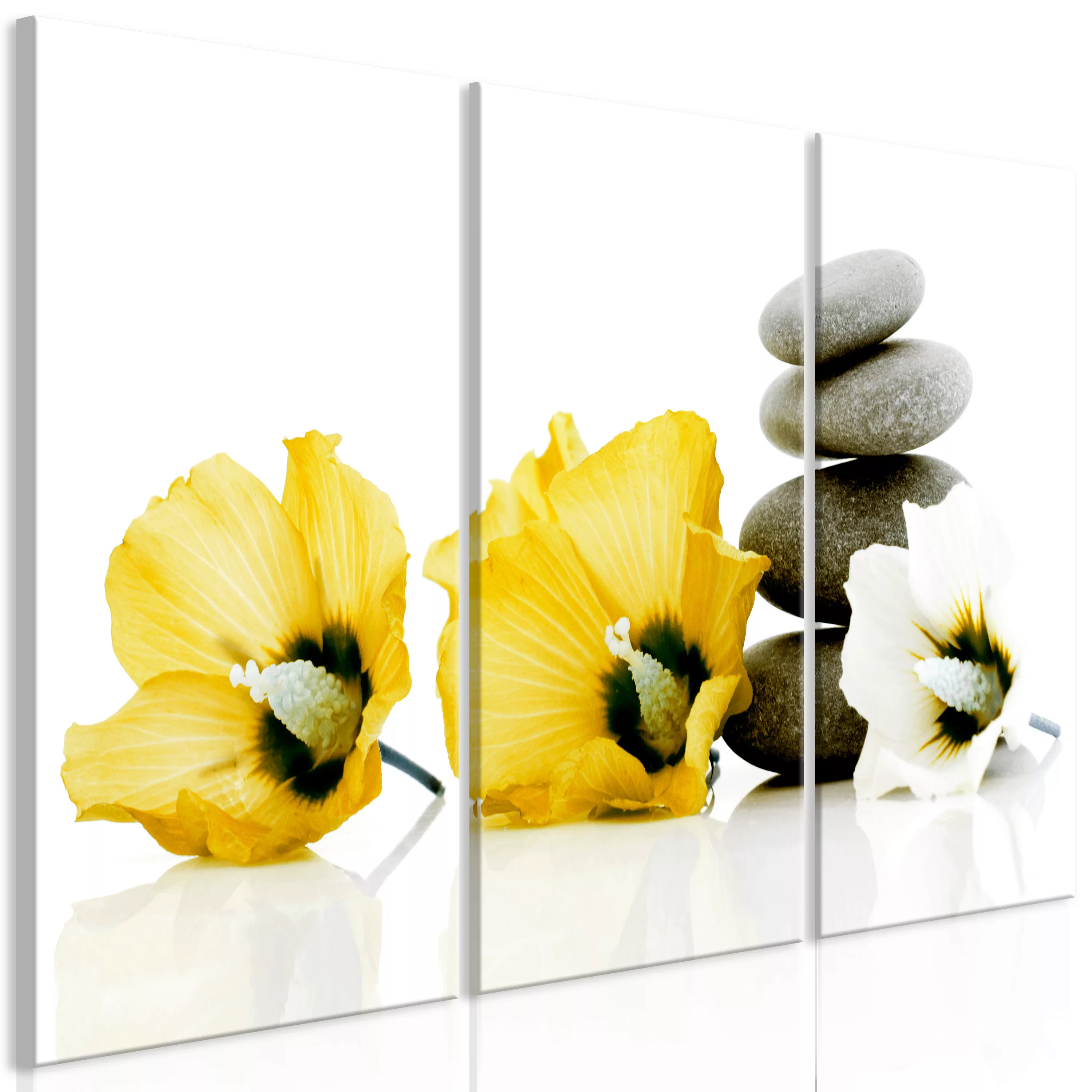 Wandbild - Calm Mallow (3 Parts) Yellow günstig online kaufen