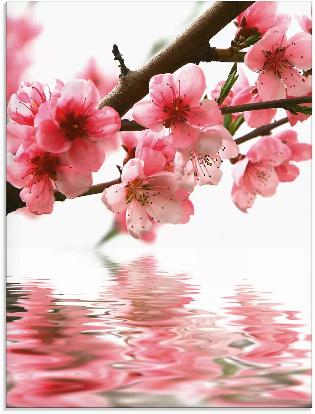 Artland Glasbild »Pfirsichblüten reflektieren im Wasser«, Blumen, (1 St.), günstig online kaufen