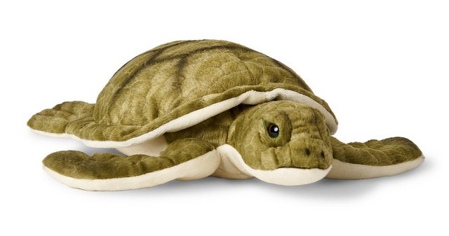 Uni-Toys Kuscheltier Grüne Meeresschildkröte - 55 / 34 cm - Plüsch-Schildkr günstig online kaufen