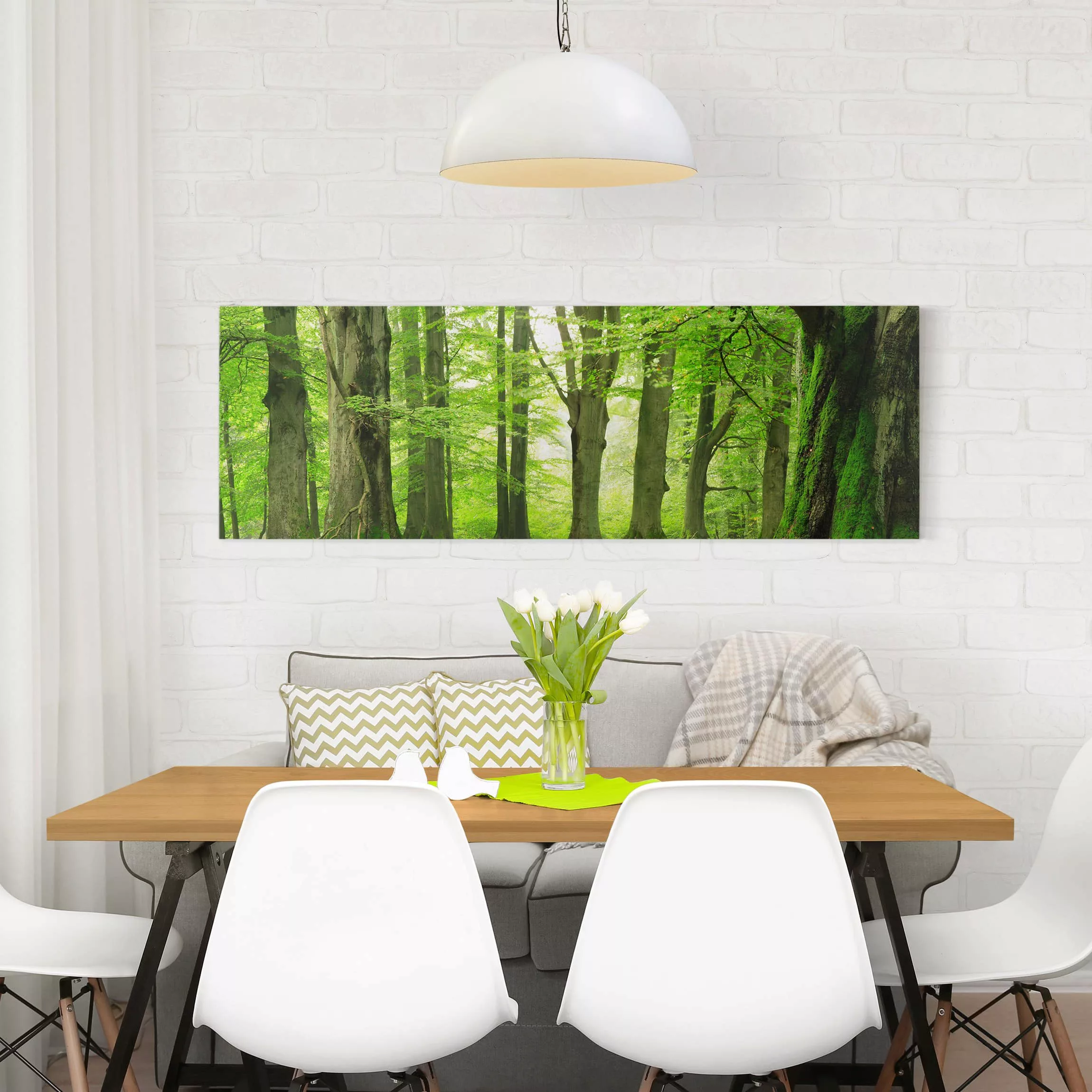 Leinwandbild - Panorama Mighty Beech Trees günstig online kaufen