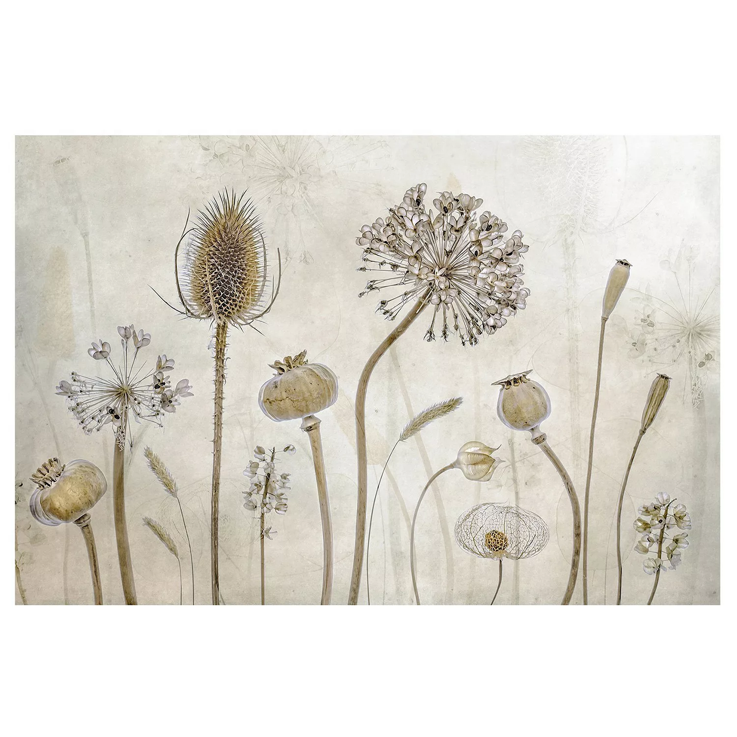 Bilderwelten Blumentapete Growing Old pastell Gr. 384 x 255 günstig online kaufen