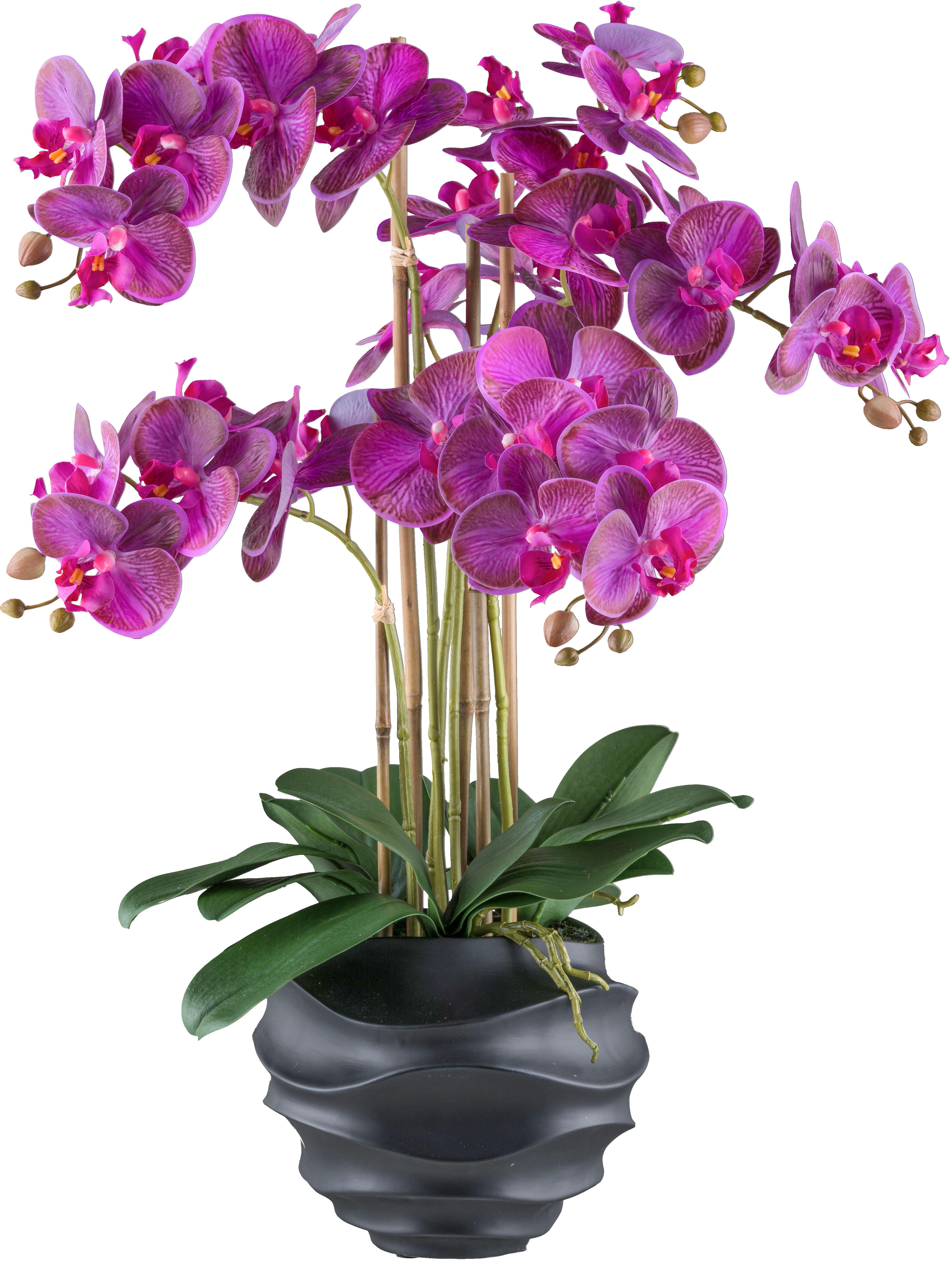 Creativ green Kunstorchidee "Orchidee Phalaenopsis", im Design-Topf günstig online kaufen