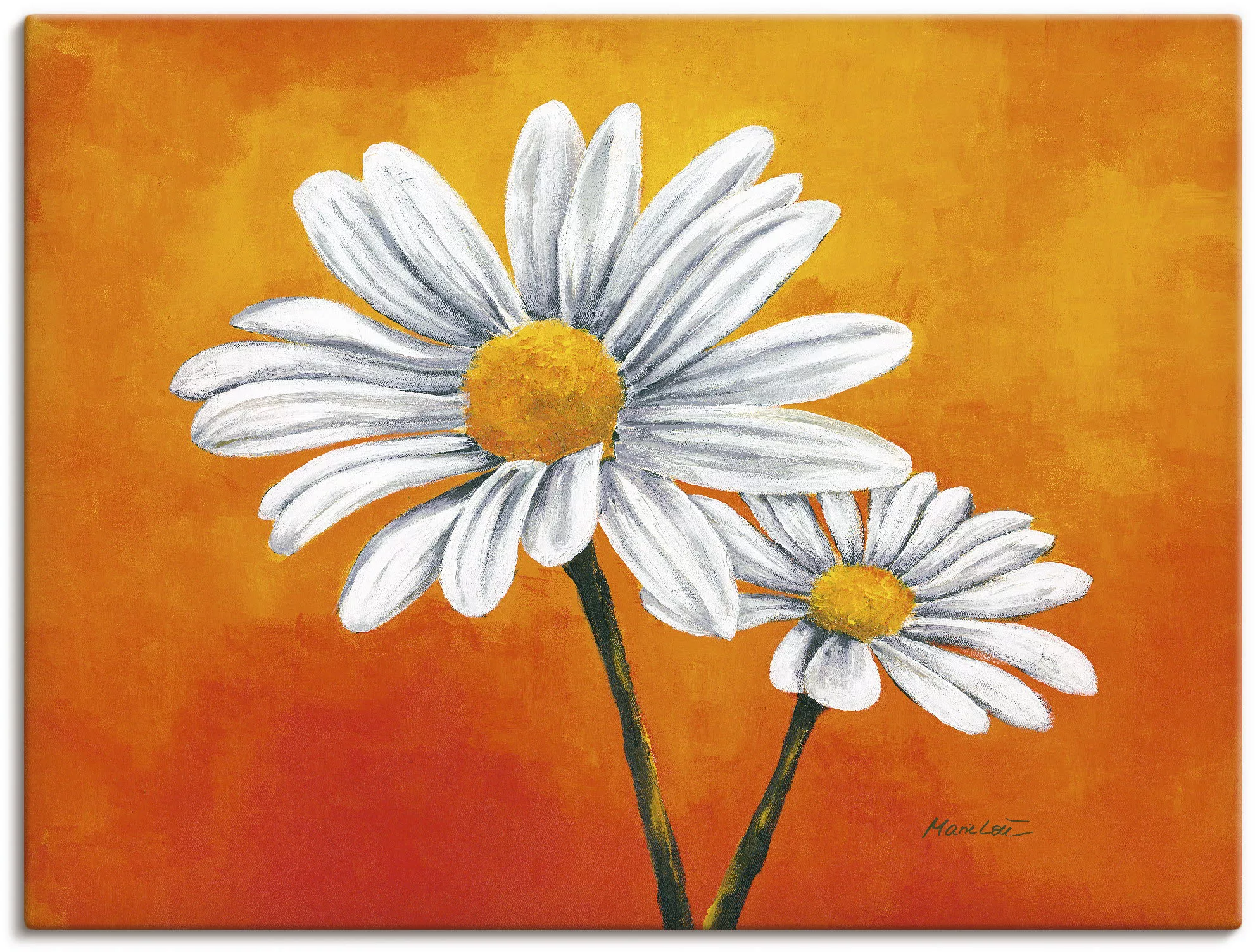 Artland Wandbild "Margeriten auf Orange", Blumen, (1 St.), als Alubild, Lei günstig online kaufen