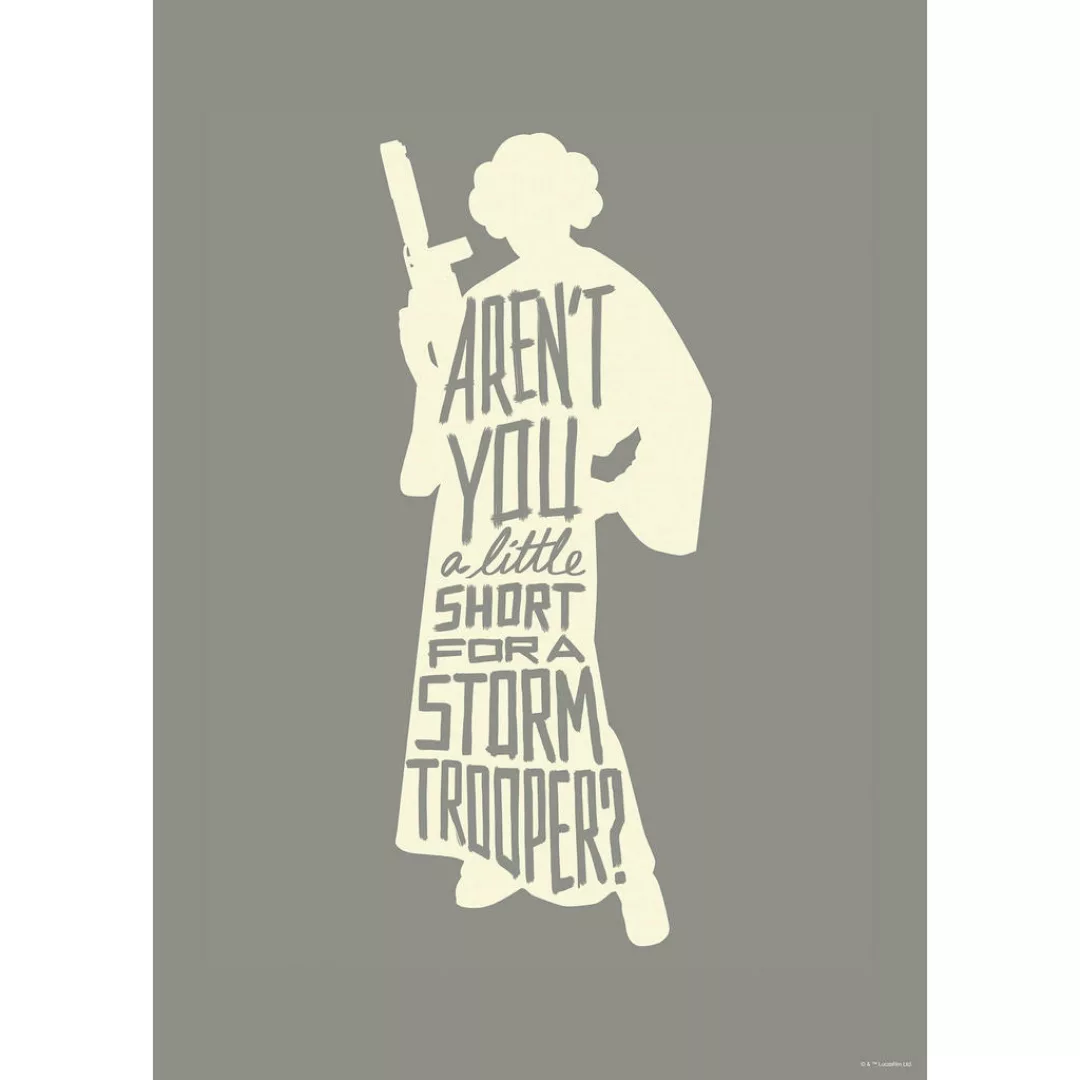 Komar Bild "Star Wars Silhouette Quotes Leia", Disney, (1 St.), Wandbild zu günstig online kaufen