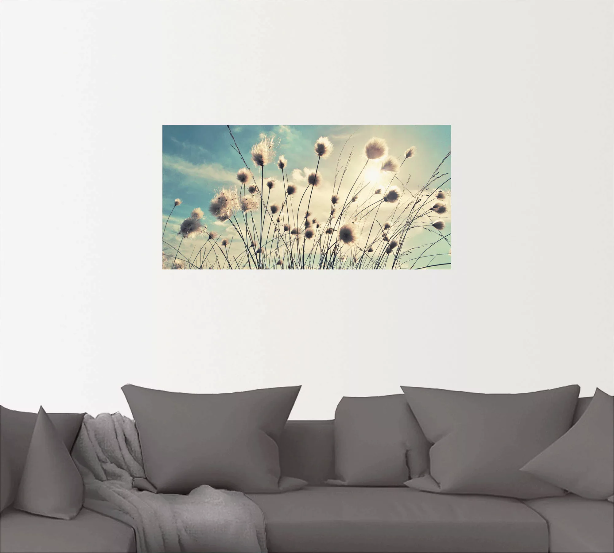 Artland Wandbild »Wollgras«, Gräser, (1 St.), als Alubild, Outdoorbild, Lei günstig online kaufen