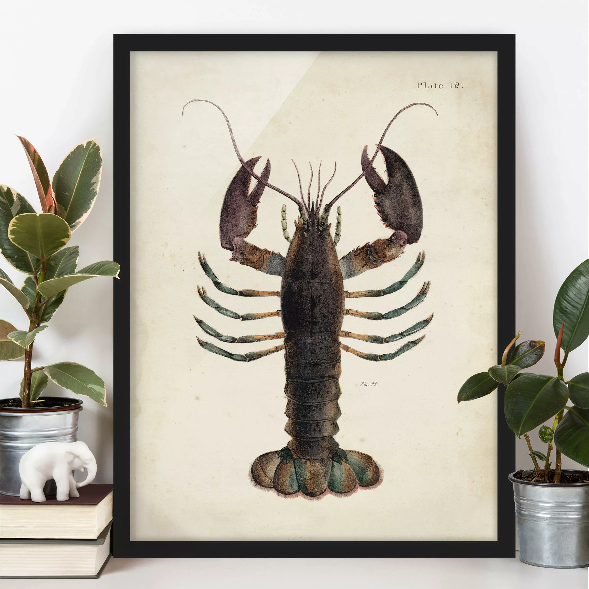 Bild mit Rahmen Tiere - Hochformat Vintage Illustration Hummer günstig online kaufen