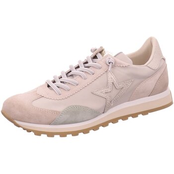 Cetti  Halbschuhe Schnuerschuhe C-1259-SRA-caliza günstig online kaufen