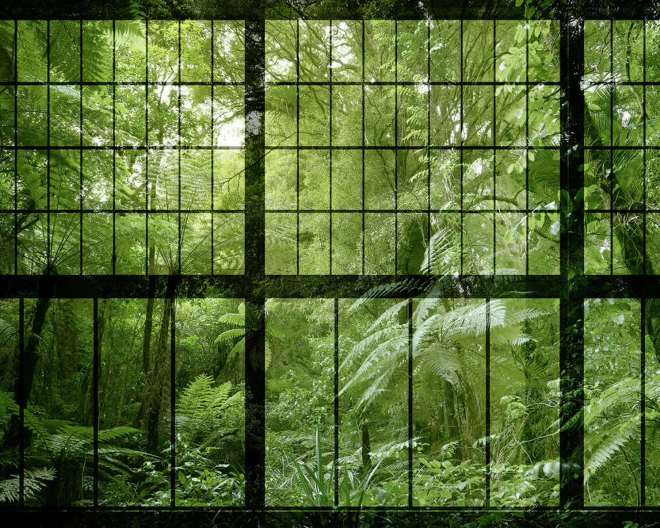 Fototapete "rainforest 2" 4,00x2,70 m / Glattvlies Brillant günstig online kaufen