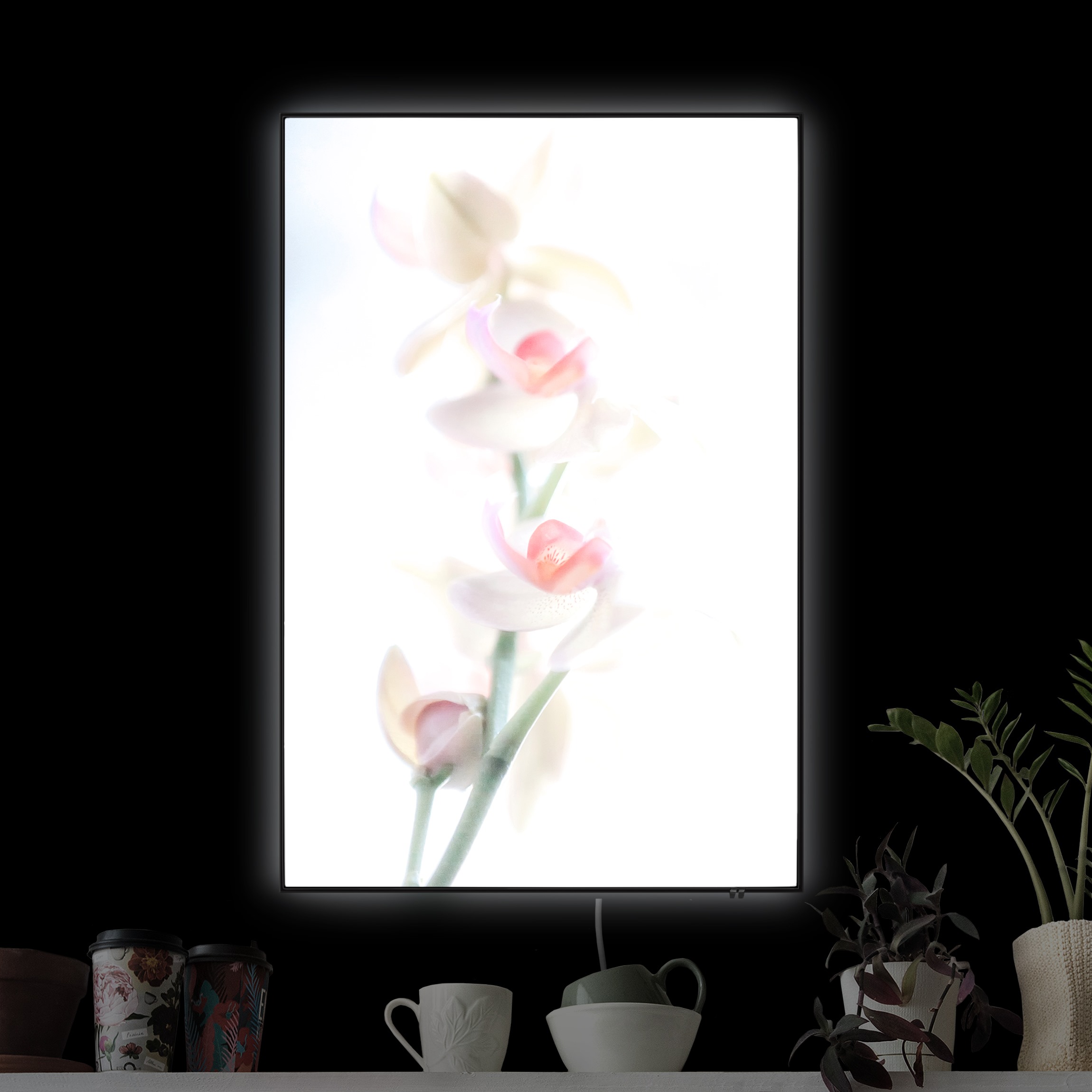 LED-Wechselbild Zerbrechliche Orchidee günstig online kaufen