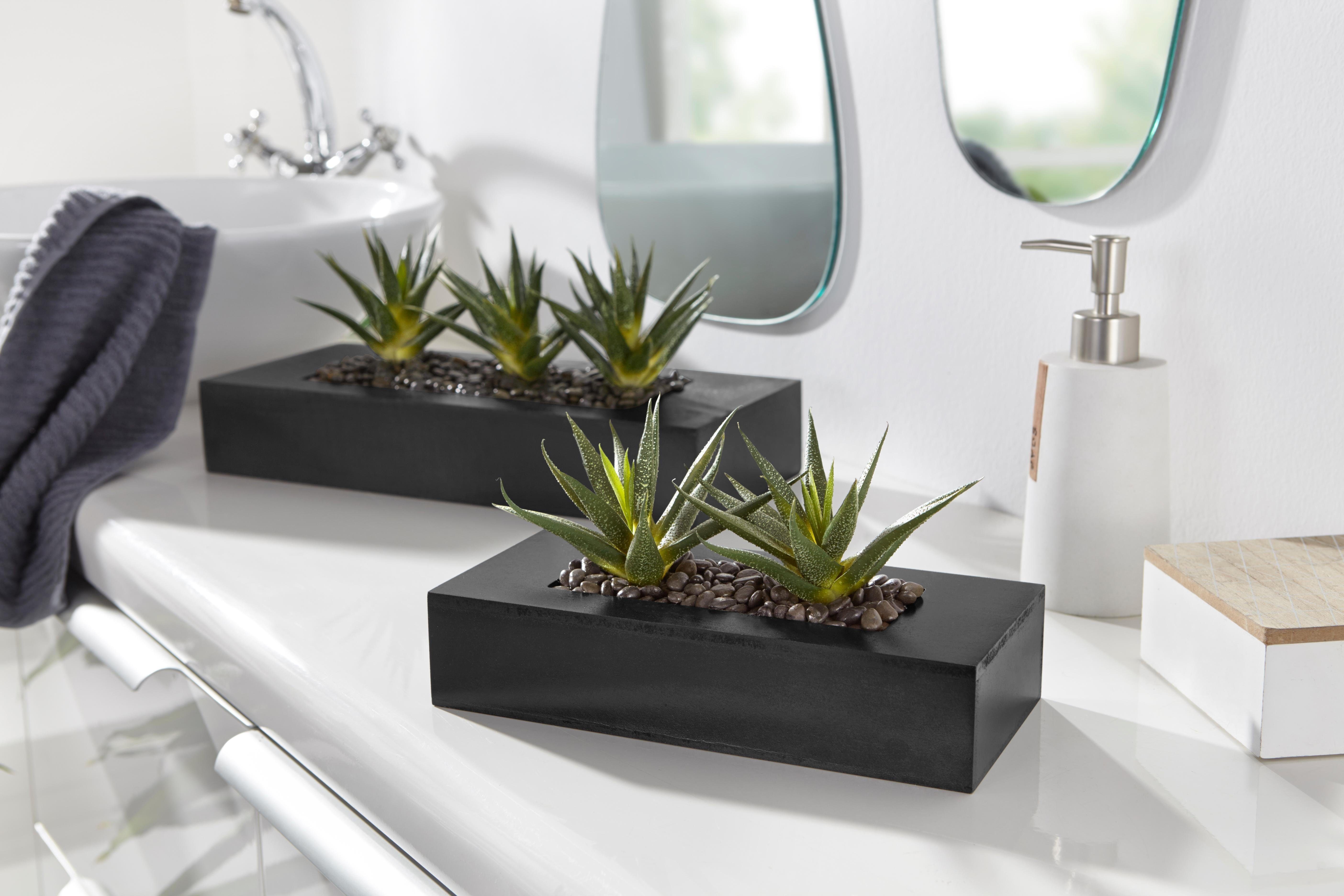 Kunstkaktus, Creativ green, Höhe 16 cm günstig online kaufen