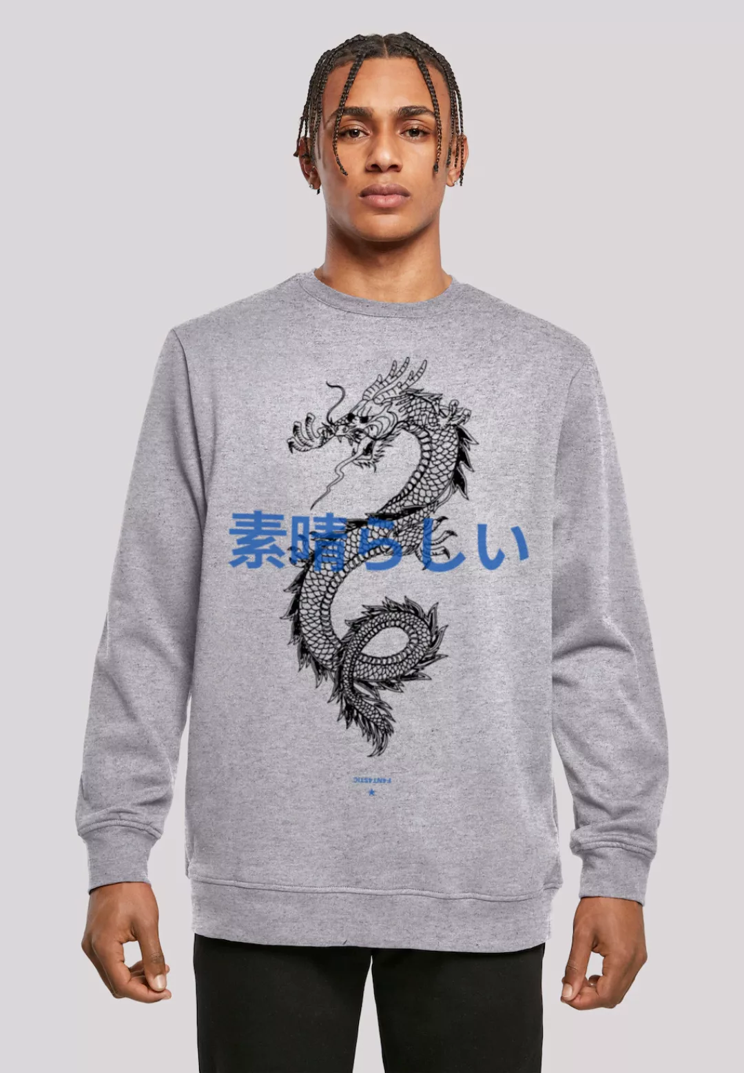 F4NT4STIC Kapuzenpullover "Drache Lila", Print günstig online kaufen