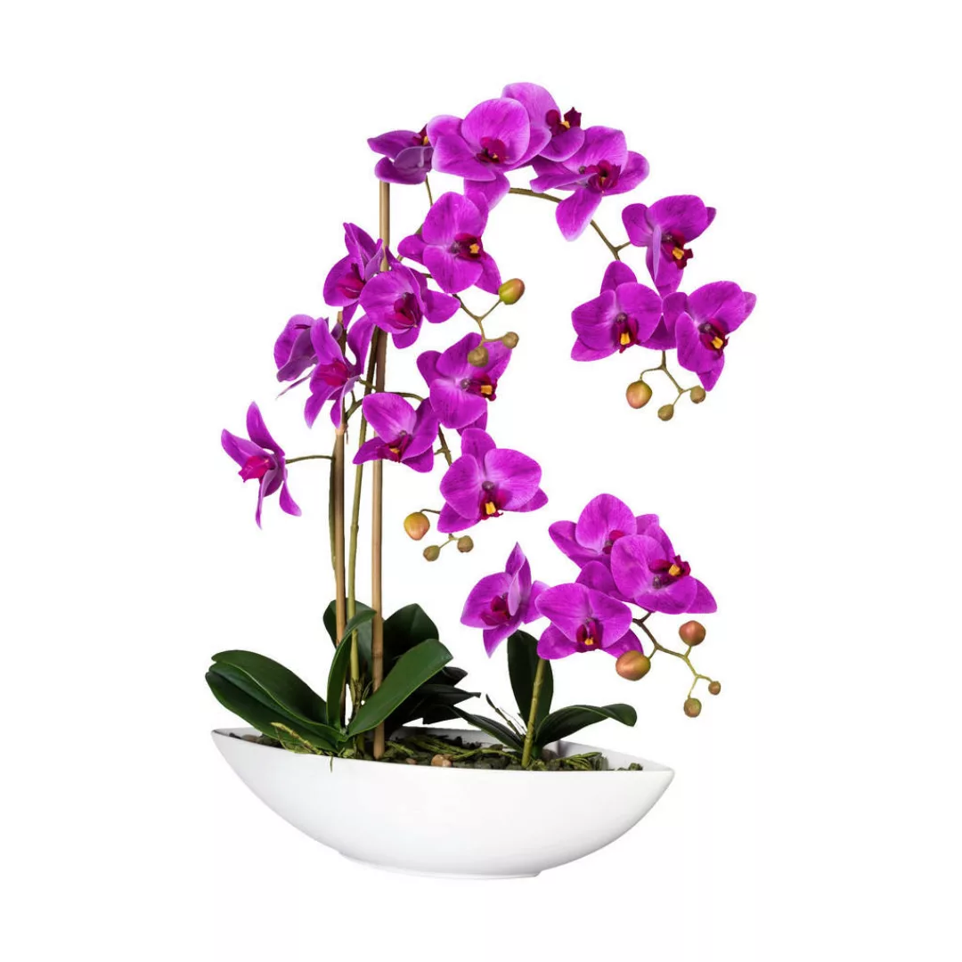 Kunstpflanze Phalaenopsis lila Kunststoff B/H/L: ca. 40,5x52x14,5 cm günstig online kaufen