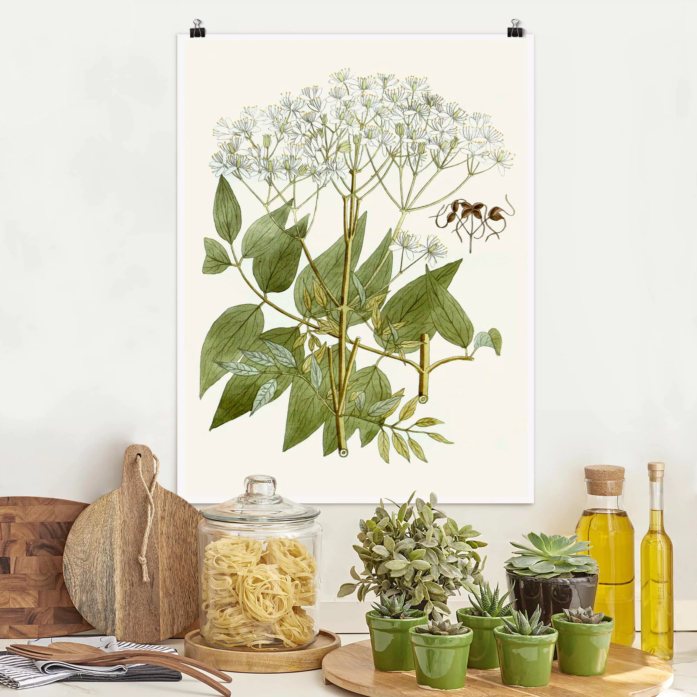 Poster Blumen - Hochformat Wildkräuter Schautfalel V günstig online kaufen