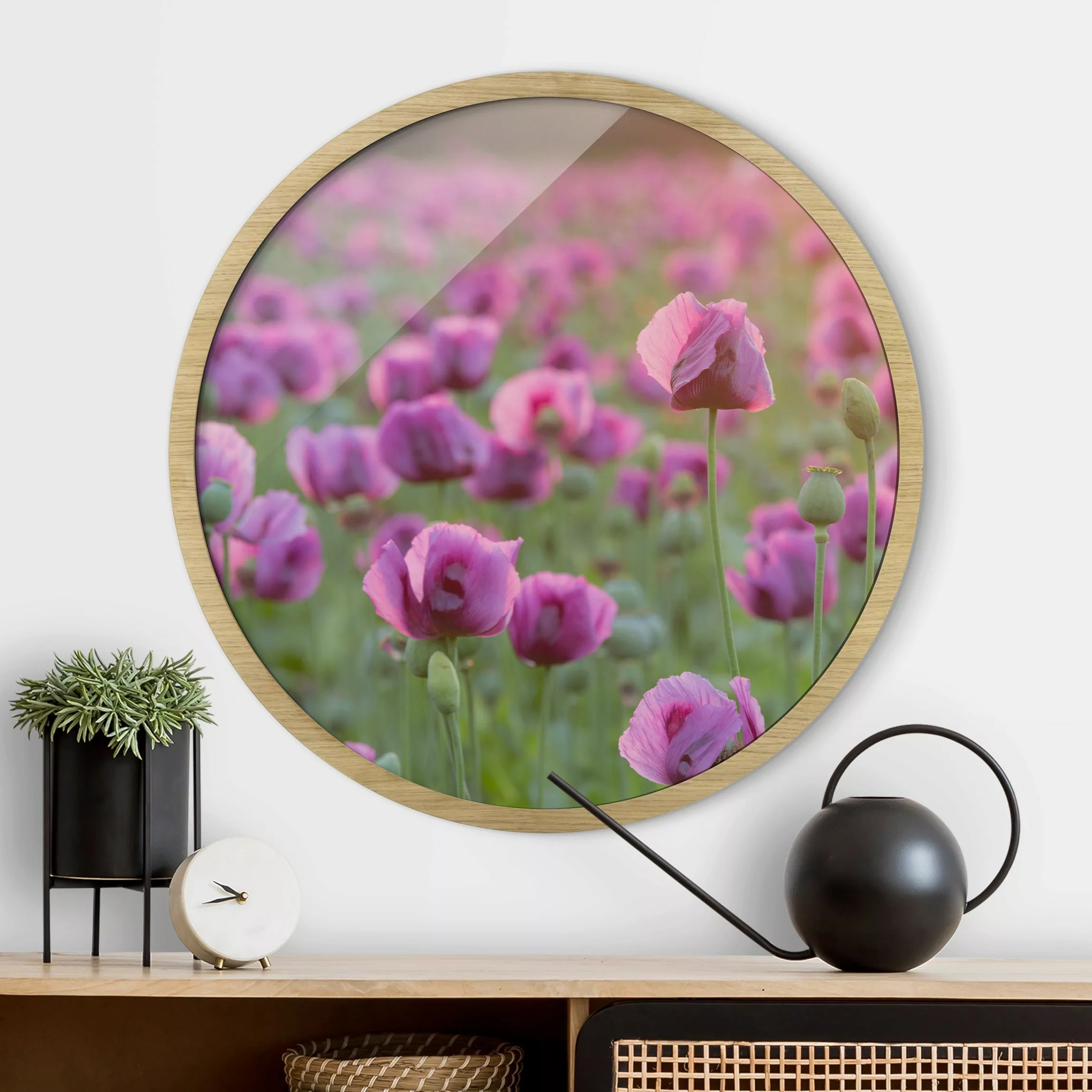 Rundes Gerahmtes Bild Violette Schlafmohn Blumenwiese im Frühling günstig online kaufen