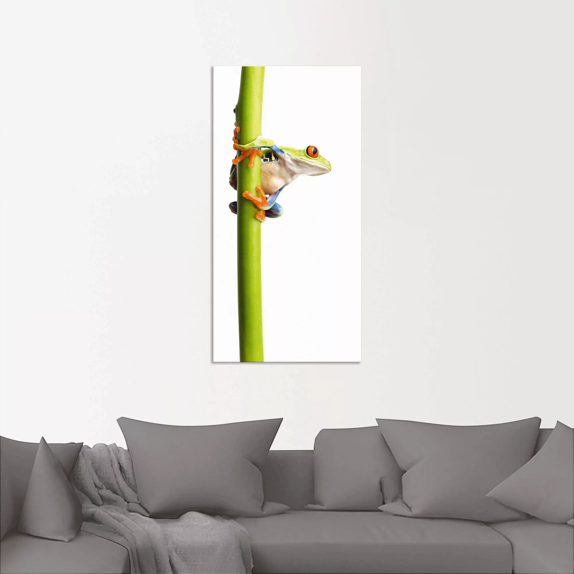 Artland Wandbild "Frosch umfasst einen Pflanzenstengel", Wassertiere, (1 St günstig online kaufen