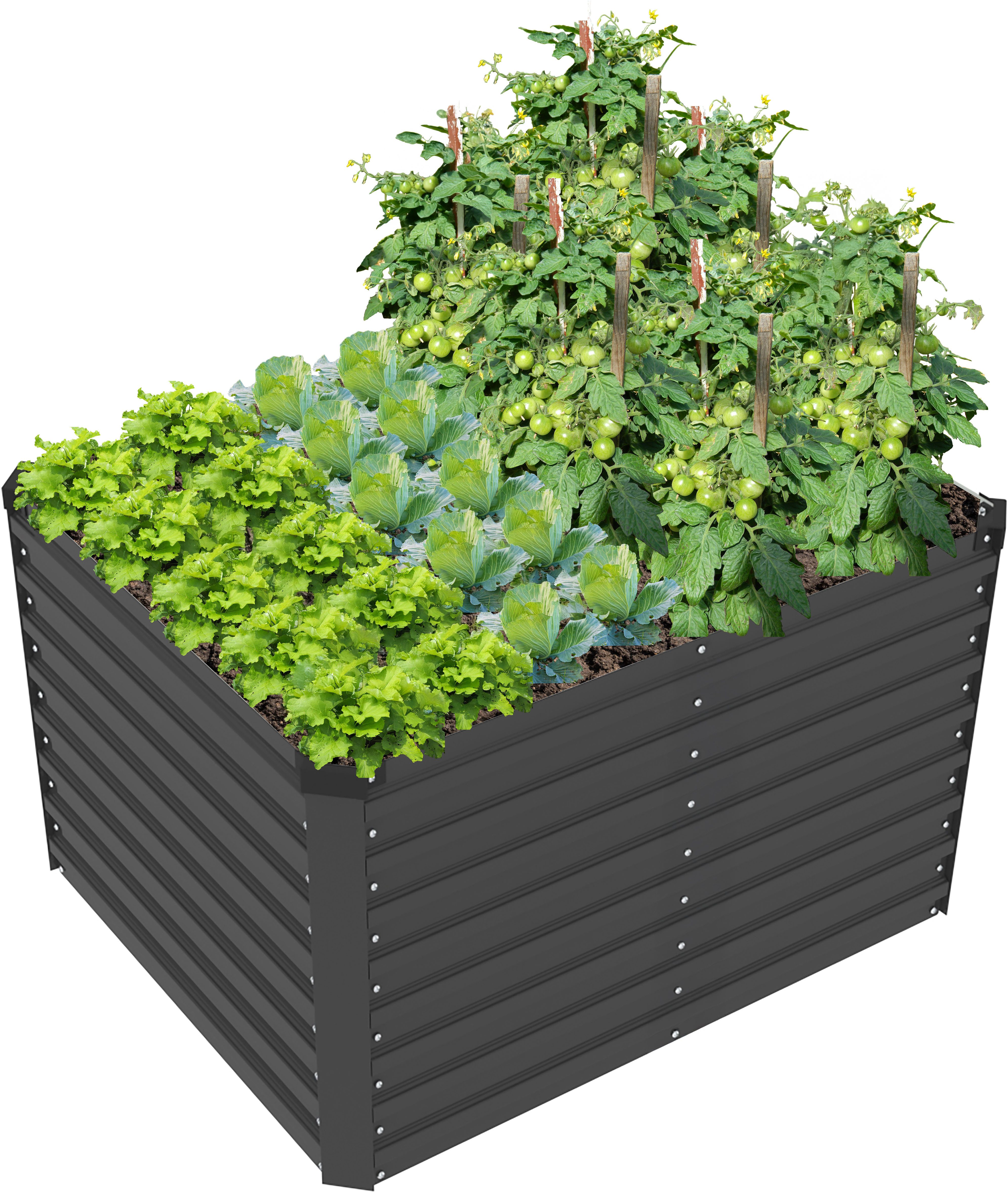 KONIFERA Hochbeet "Emmy, bodenloses Gartenbeet aus verzinktem Stahl", mit V günstig online kaufen