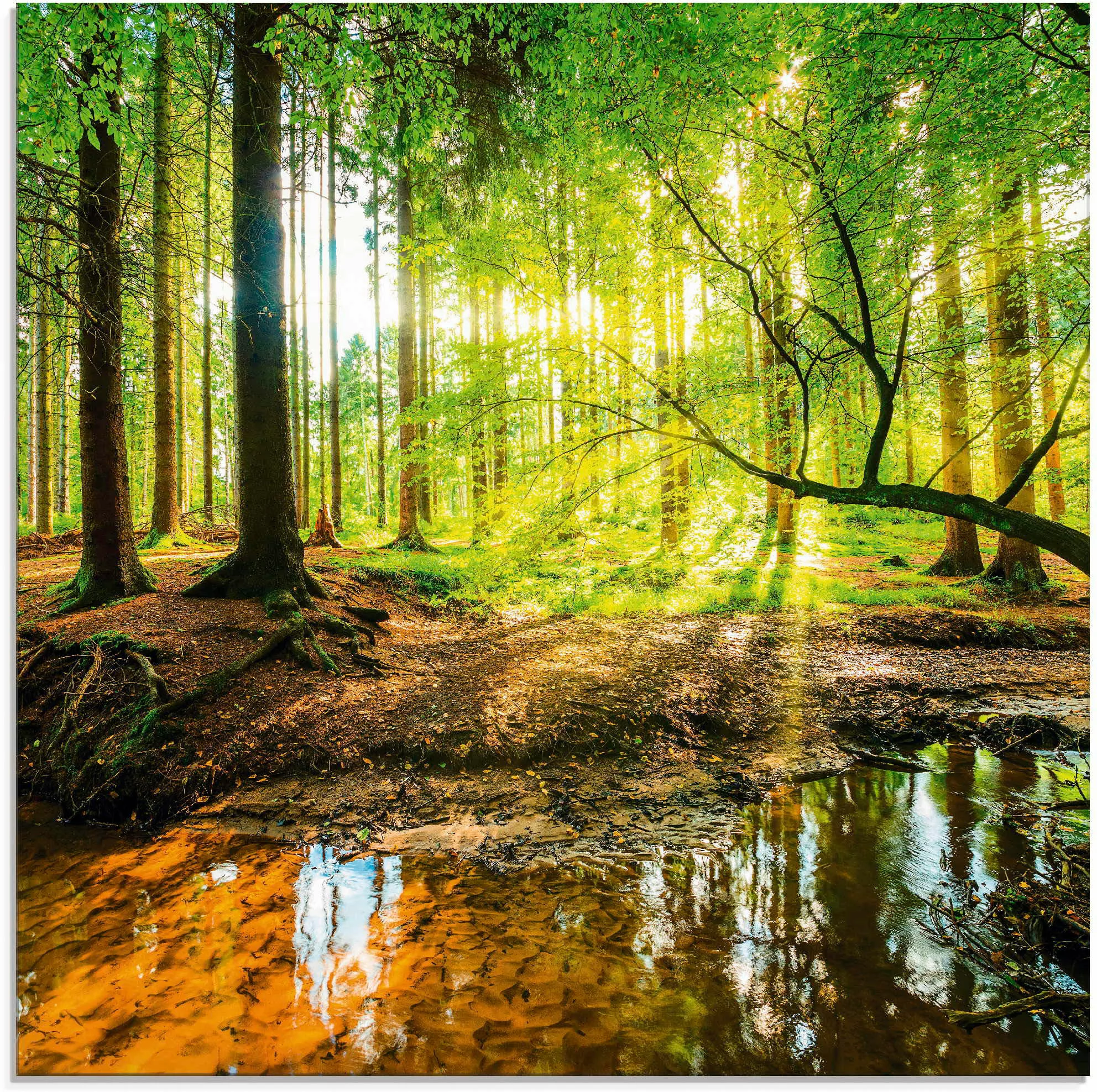 Artland Glasbild »Wald mit Bach«, Wald, (1 St.), in verschiedenen Größen günstig online kaufen