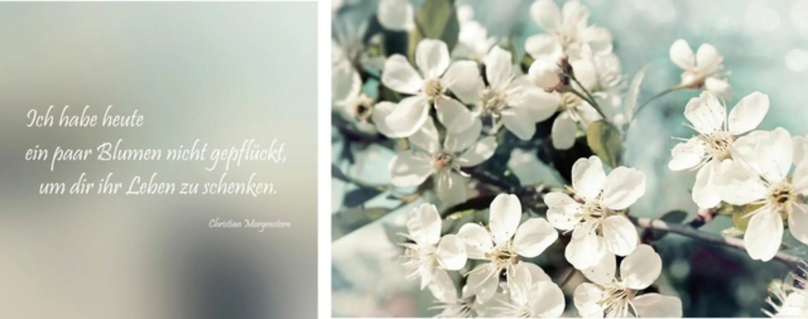queence Leinwandbild »Leben geschenkt«, Blumen-Blumenbilder-Kunst-Modern-Sp günstig online kaufen