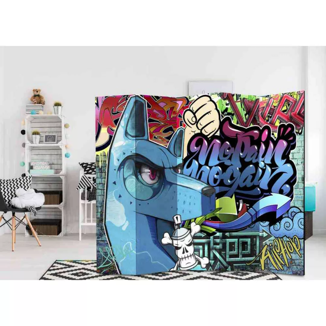 Jugendzimmer Paravent Graffiti Motiv 5 teilig günstig online kaufen
