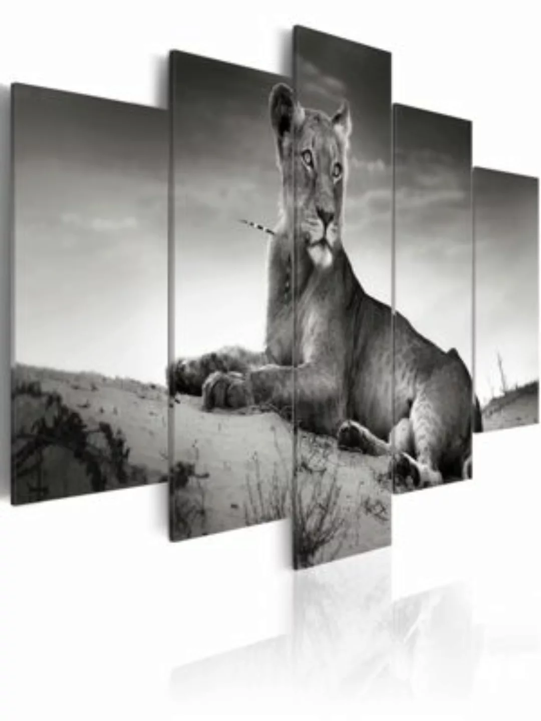 artgeist Wandbild Löwin in der Wüste schwarz/weiß Gr. 200 x 100 günstig online kaufen