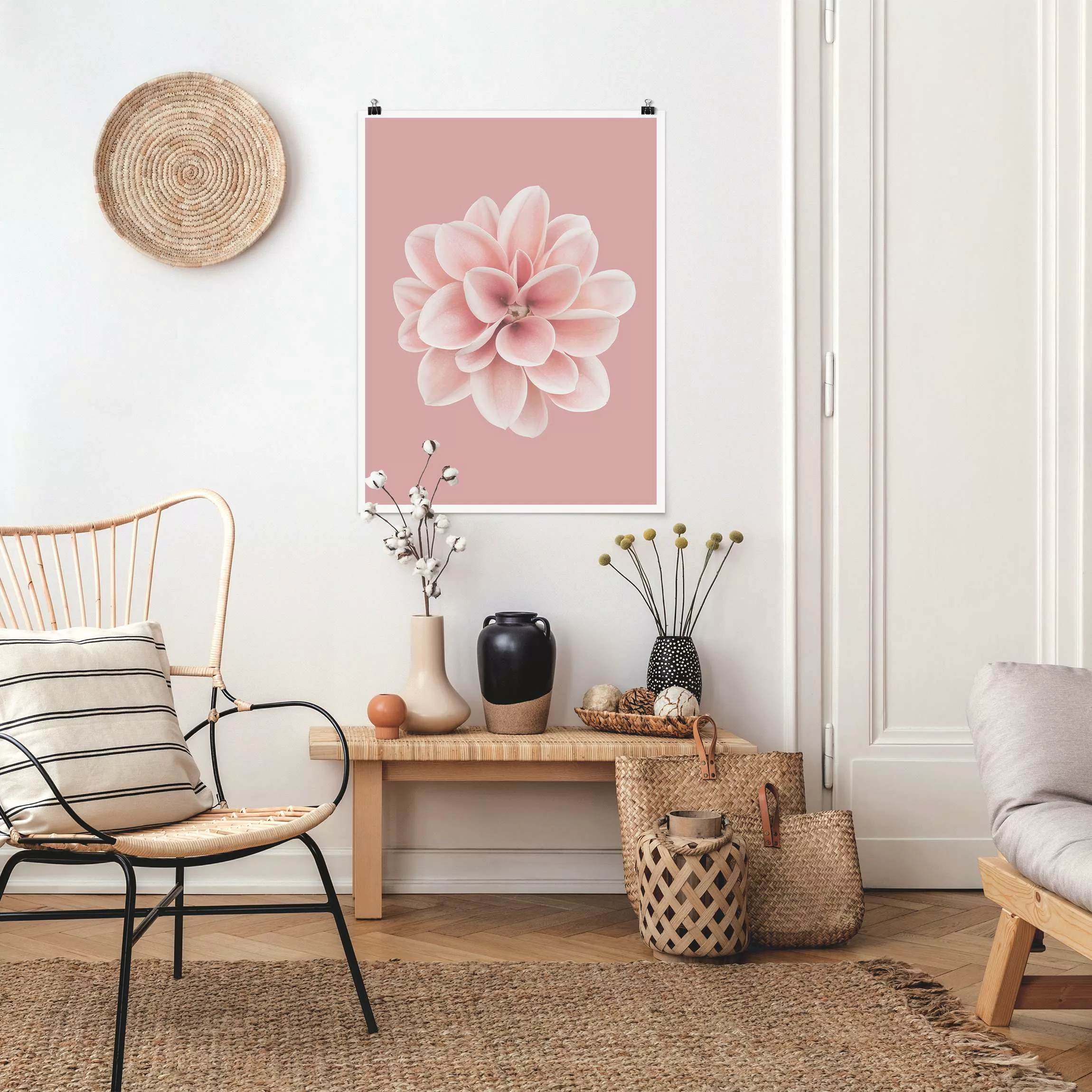 Poster Dahlie Rosa Blush Blume Zentriert günstig online kaufen