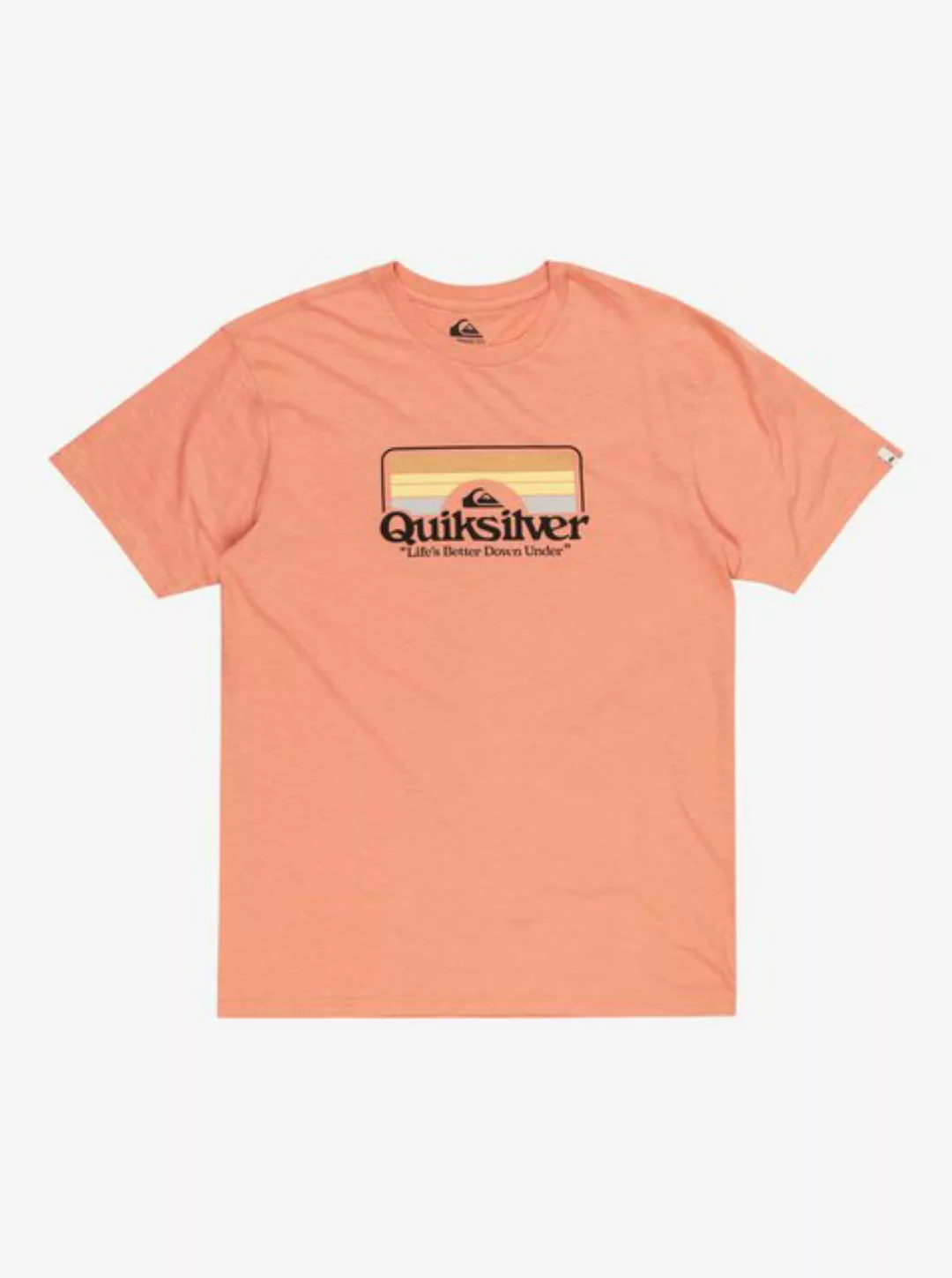 Quiksilver T-Shirt STEPINSIDESS TEES günstig online kaufen