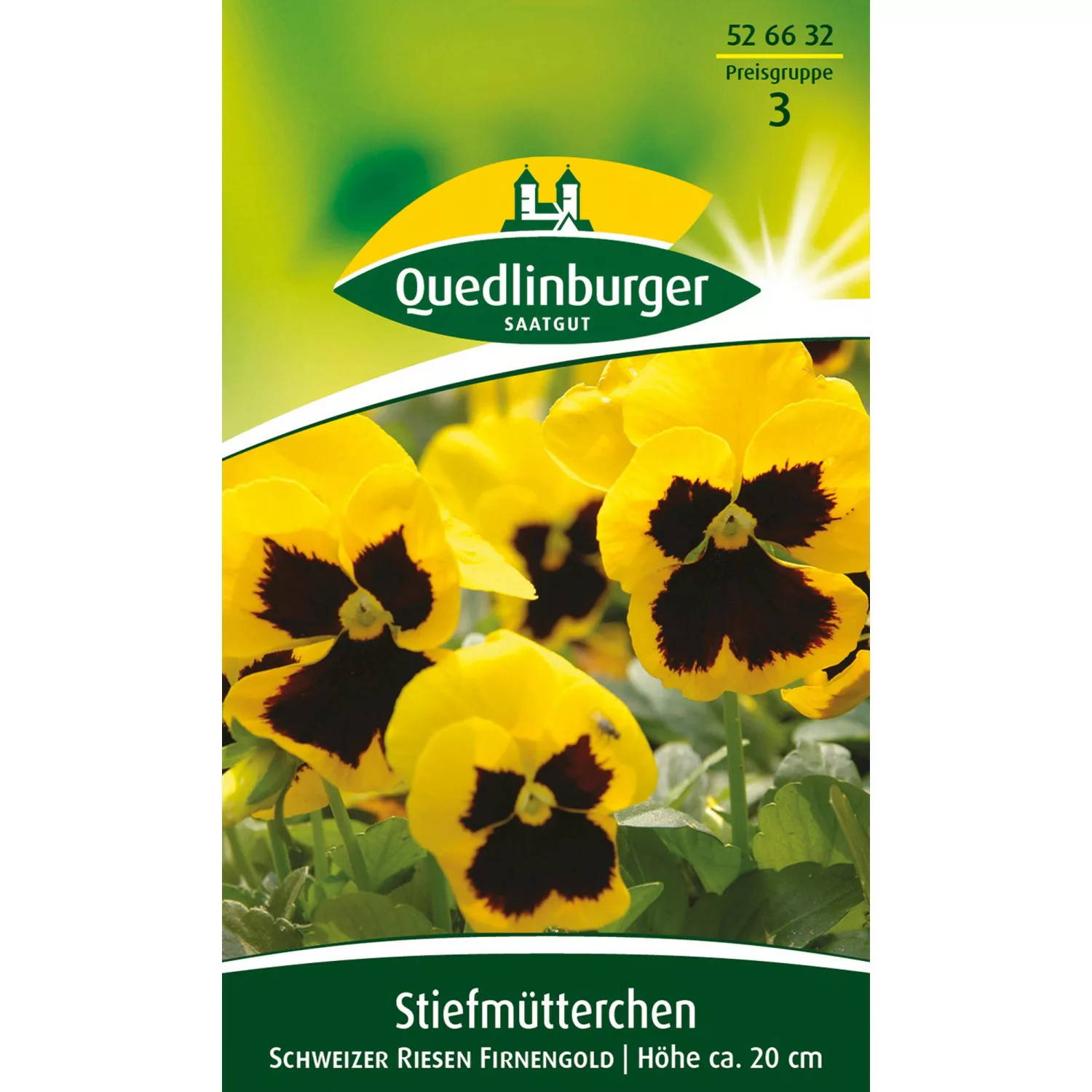 Quedlinburger Stiefmütterchen ''Schweizer Riesen Firnengold'' günstig online kaufen